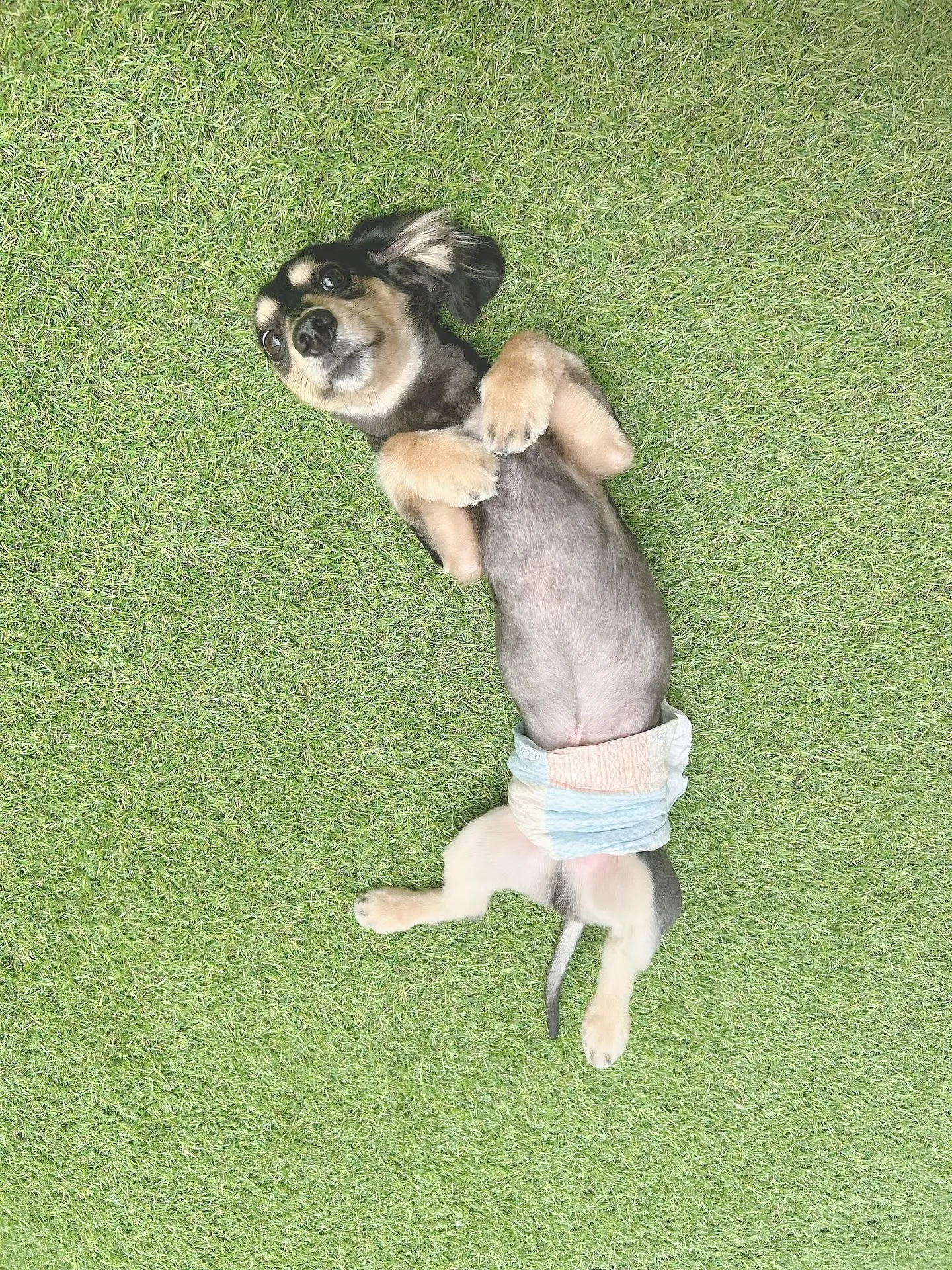 ୨୧ ∴トリミング∴ ୨୧