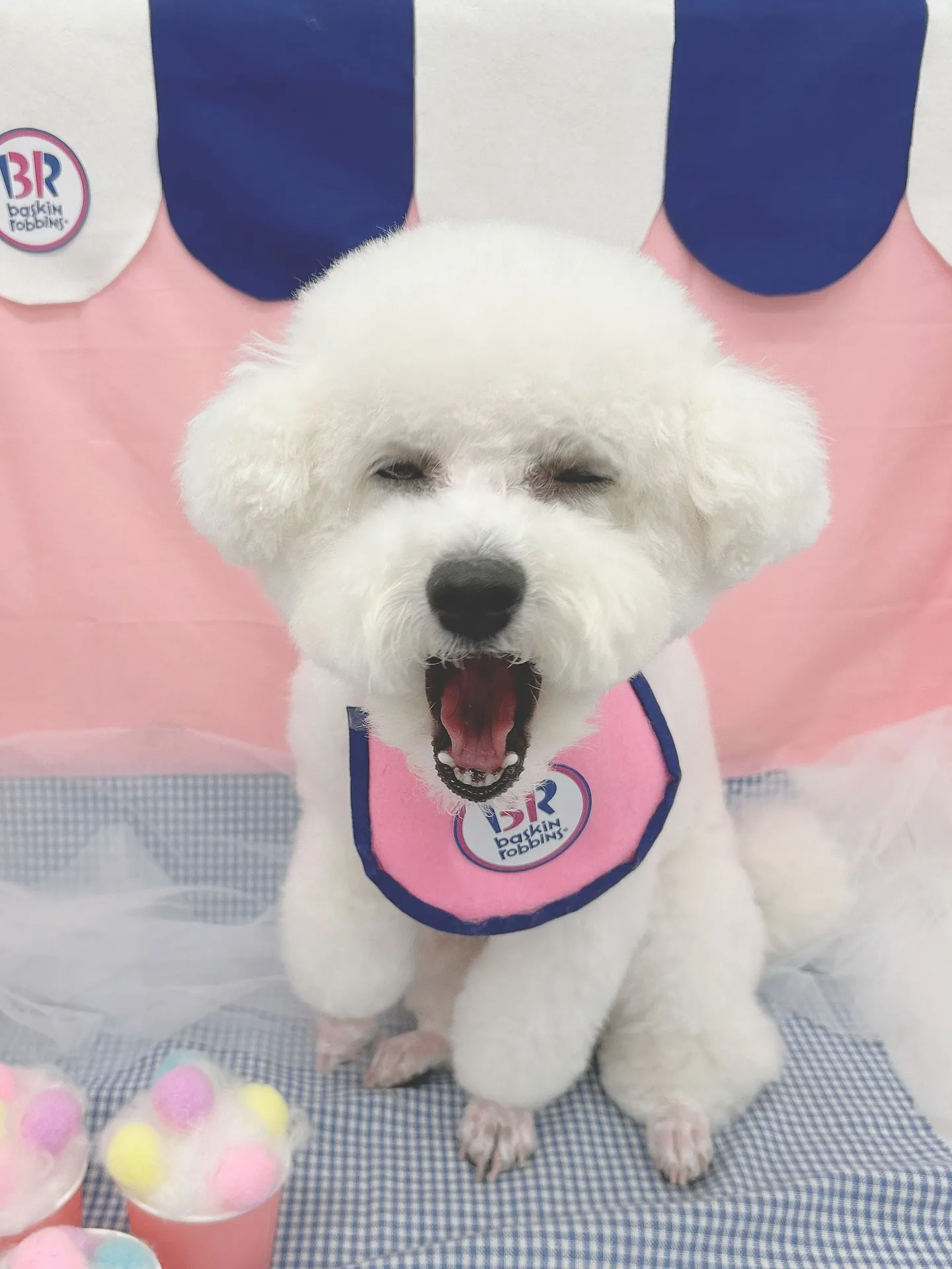 ୨୧ ∴トリミング∴ ୨୧