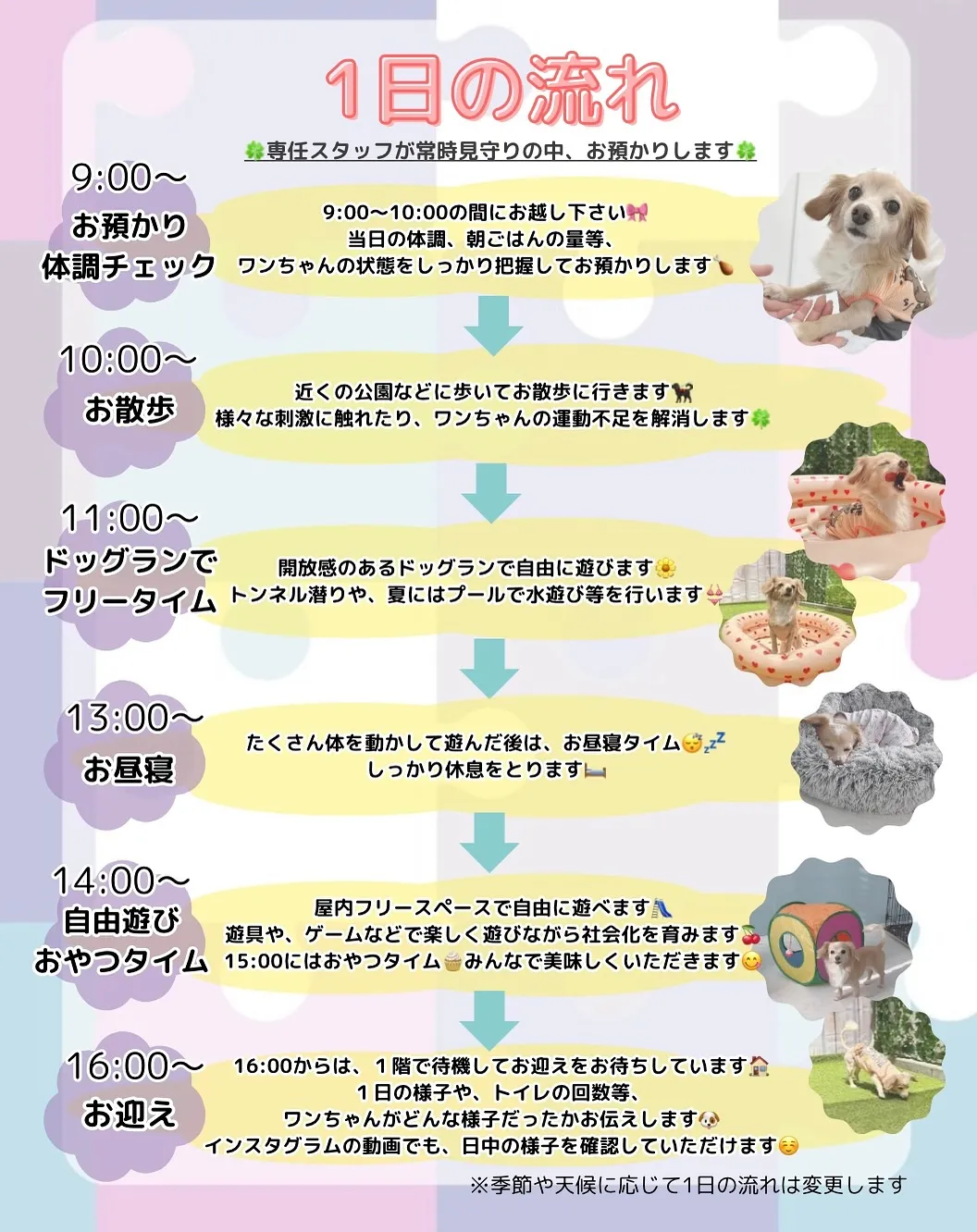 ୨୧ ∴お預かりサービス∴ ୨୧ 