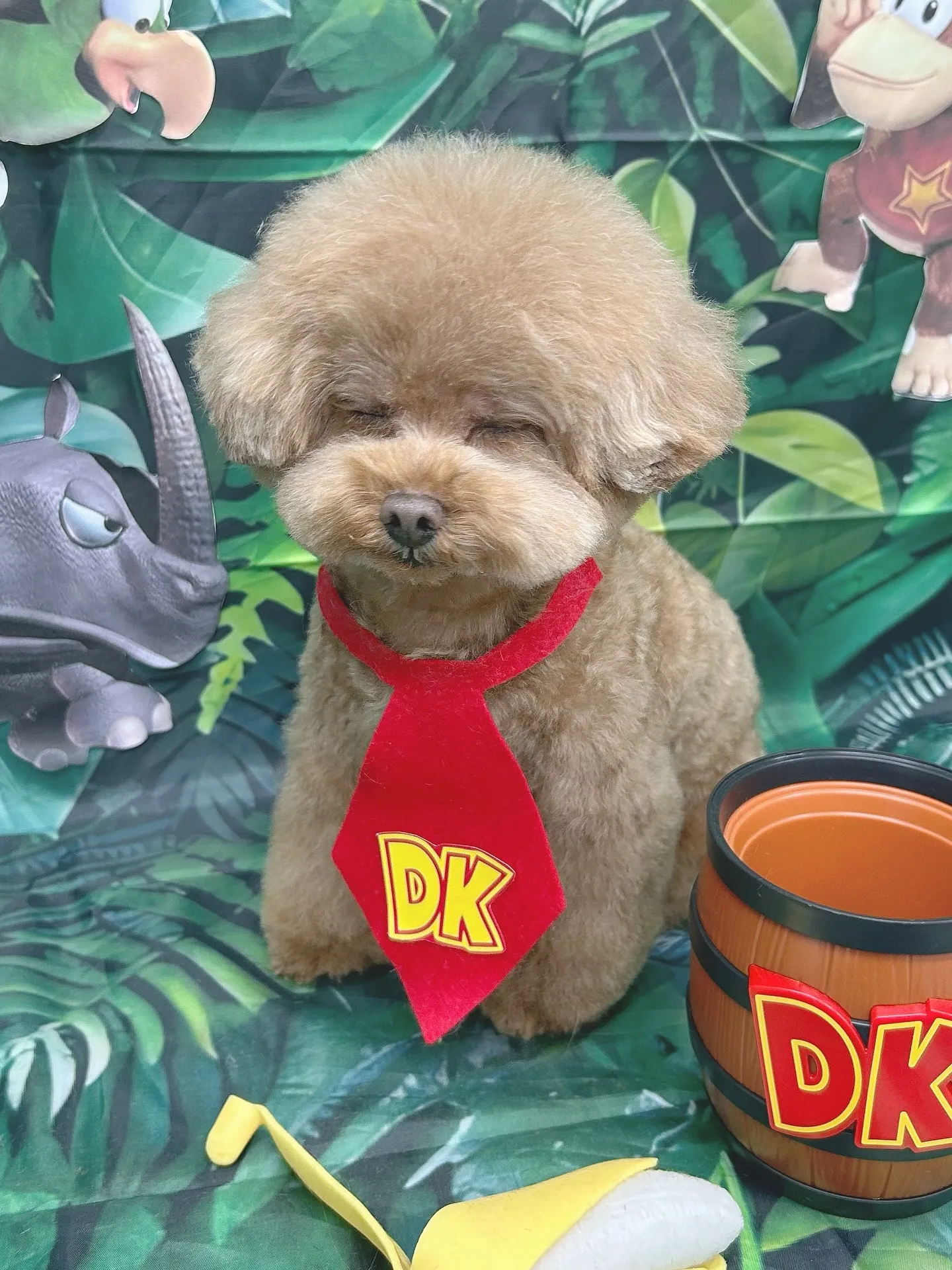 ୨୧ ∴ペットサロン∴ ୨୧