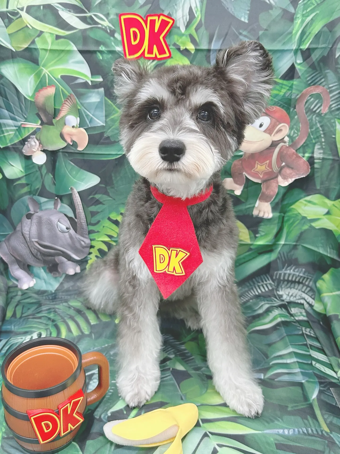 ୨୧ ∴ペットサロン∴ ୨୧