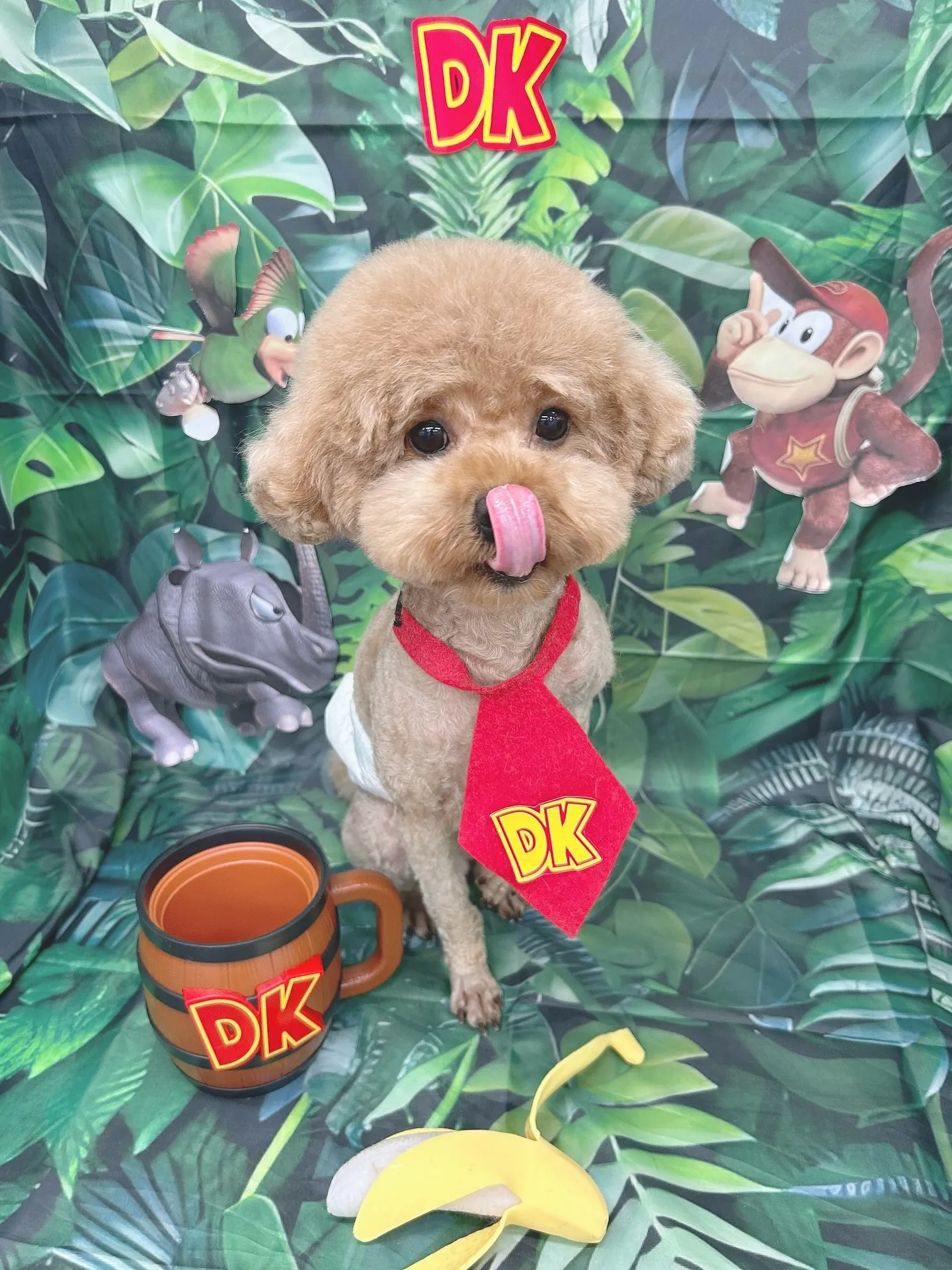 ୨୧ ∴ペットサロン∴ ୨୧