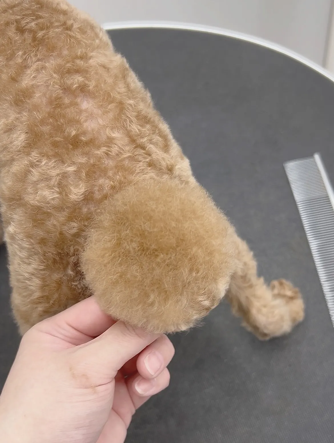 ୨୧ ∴ペットサロン∴ ୨୧