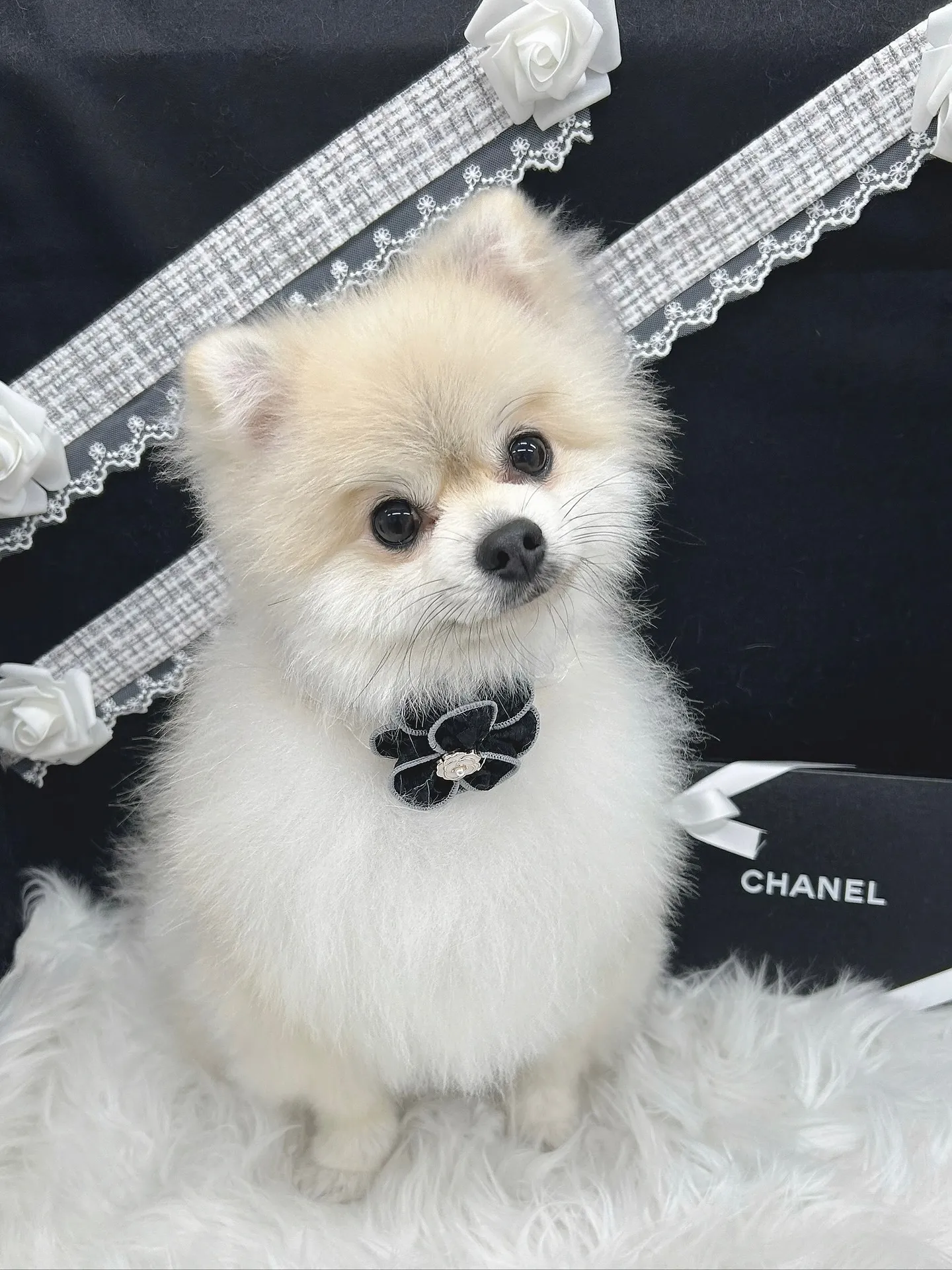 ୨୧ ∴シャンプー∴ ୨୧