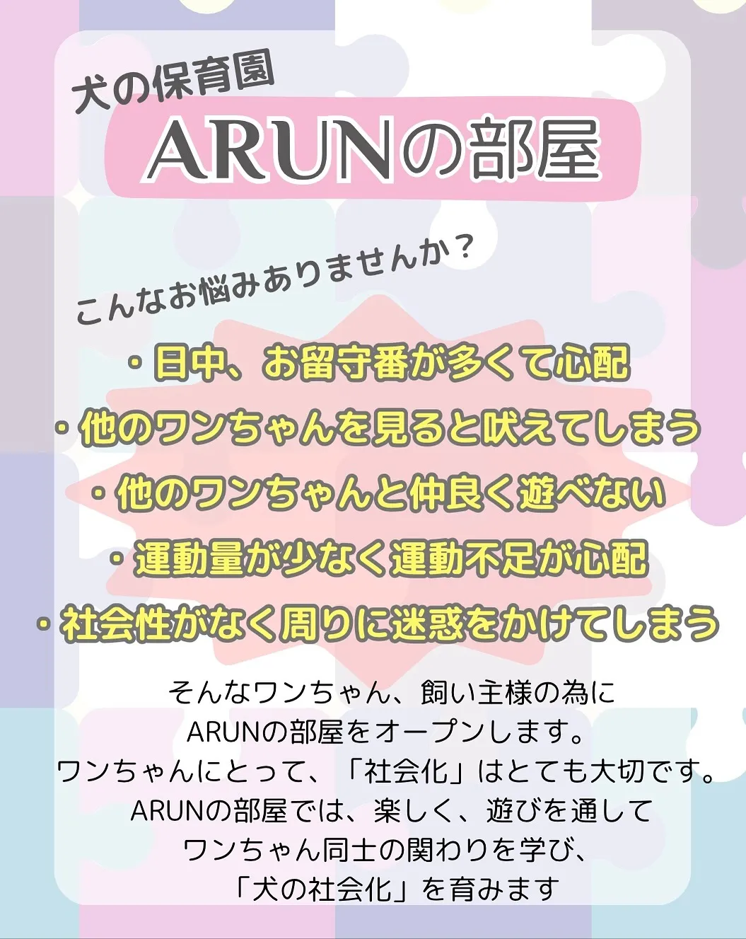 ୨୧ ∴犬の保育園∴ ୨୧ 