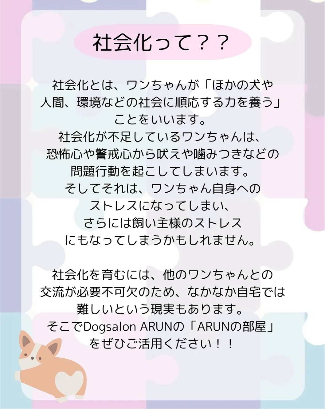 ୨୧ ∴犬の保育園∴ ୨୧ 