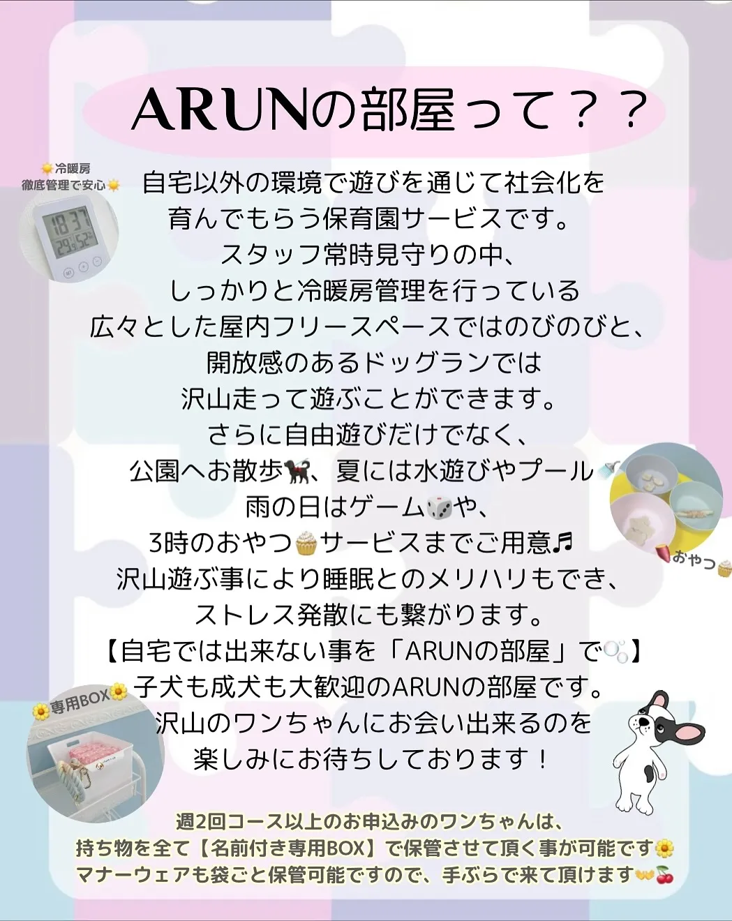 ୨୧ ∴犬の保育園∴ ୨୧ 