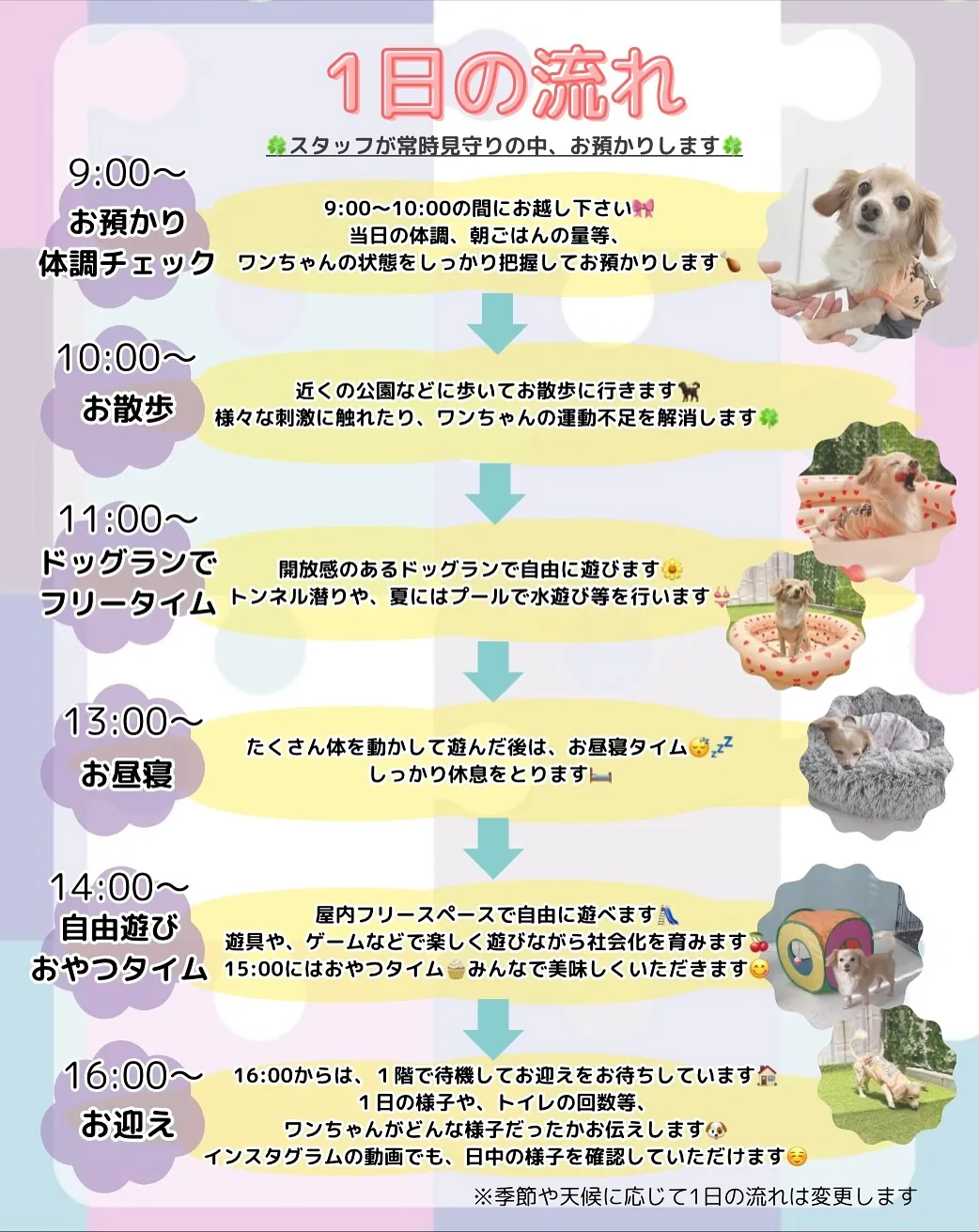 ୨୧ ∴犬の保育園∴ ୨୧ 