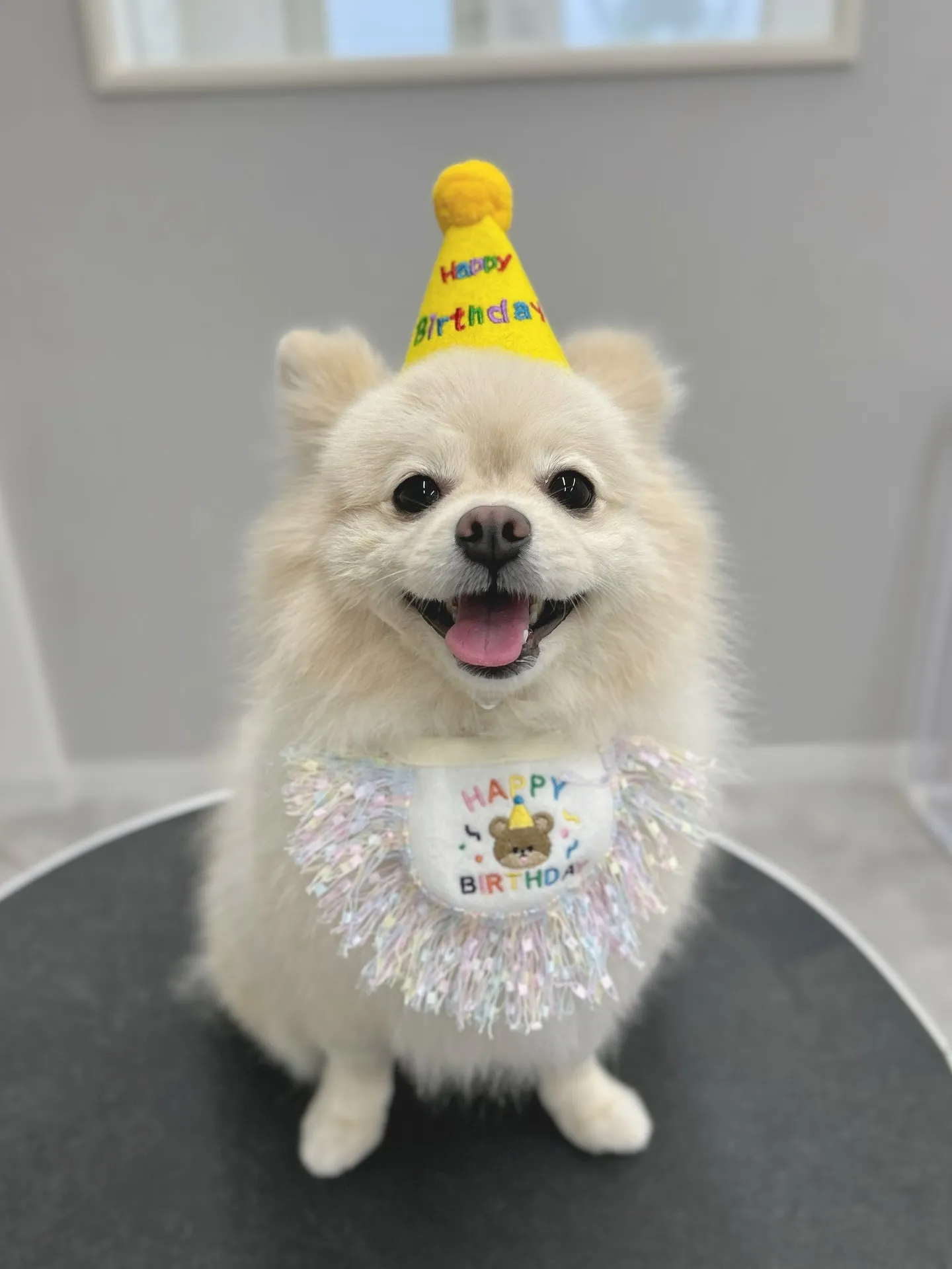 ୨୧ ∴トリミングサロン∴ ୨୧