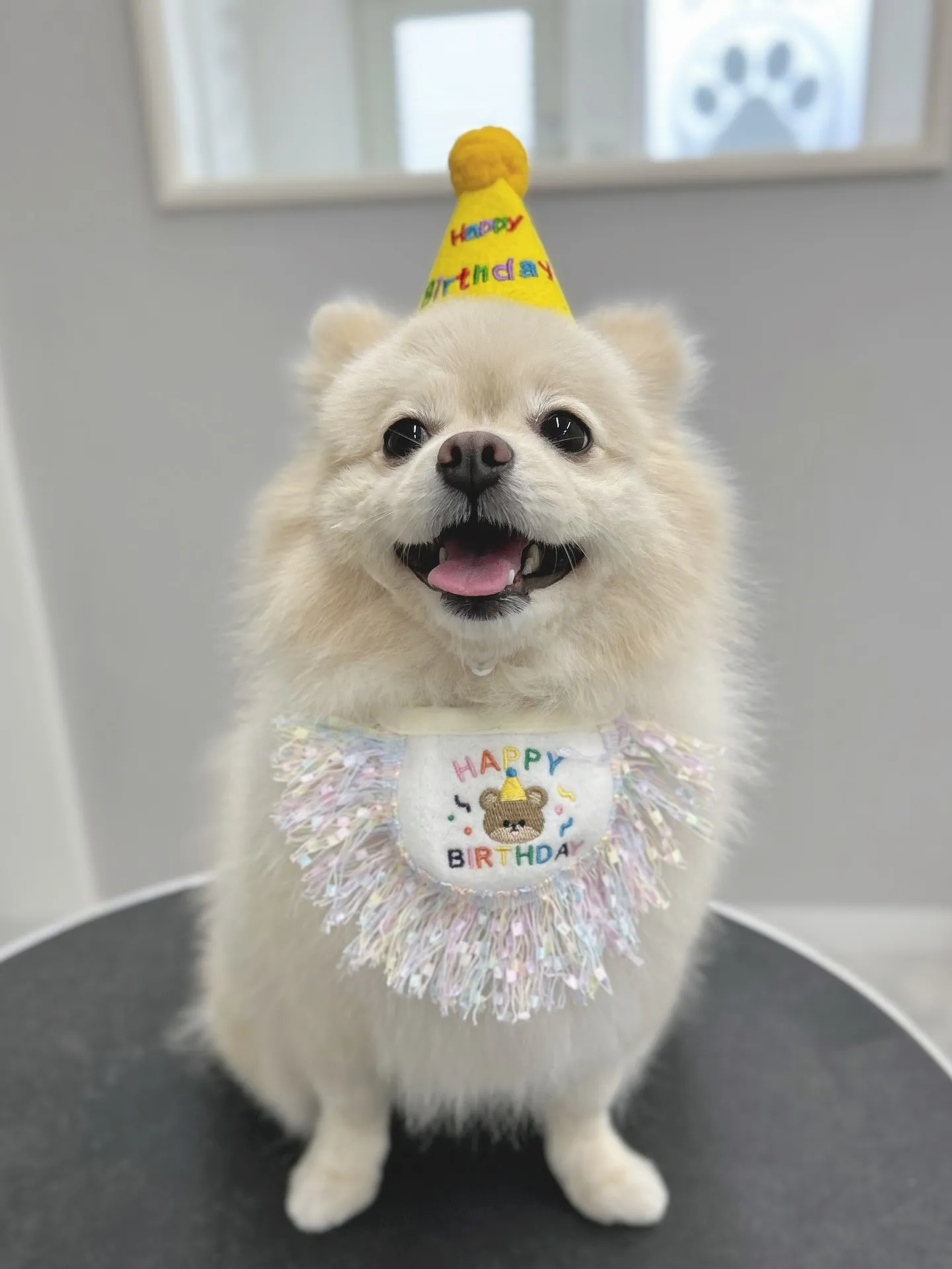 ୨୧ ∴トリミングサロン∴ ୨୧