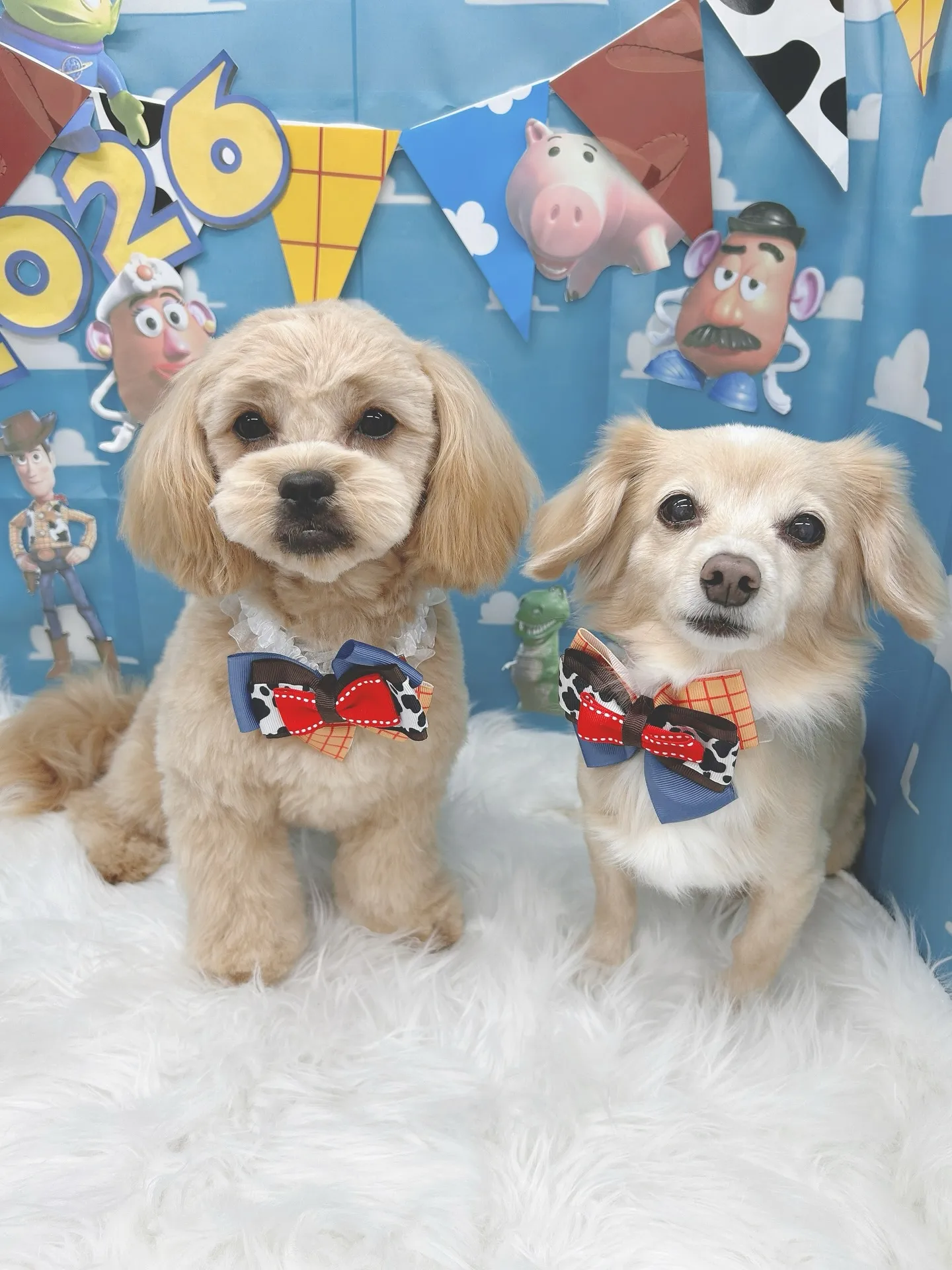 明けましておめでとうございます🎍