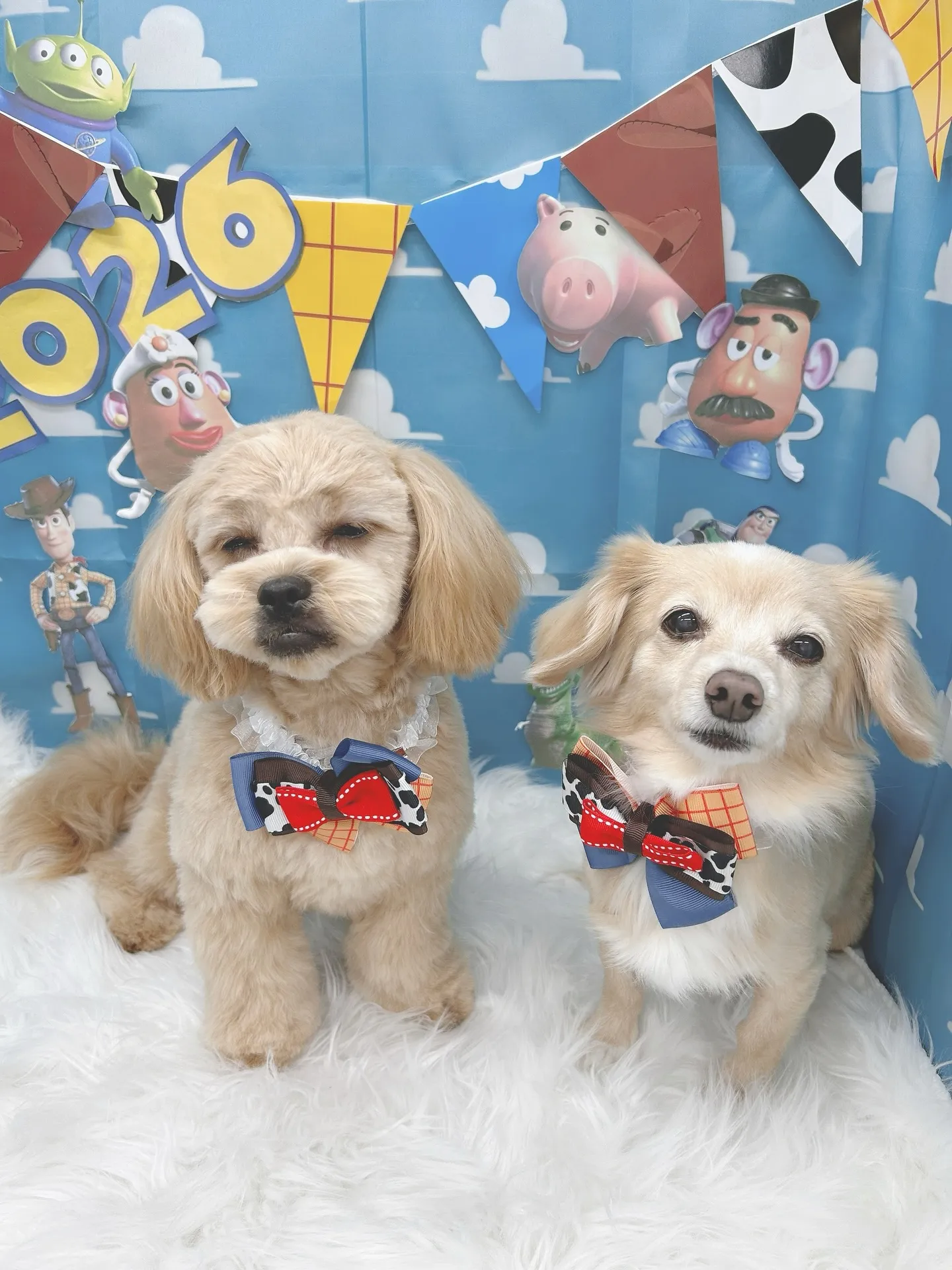 明けましておめでとうございます🎍