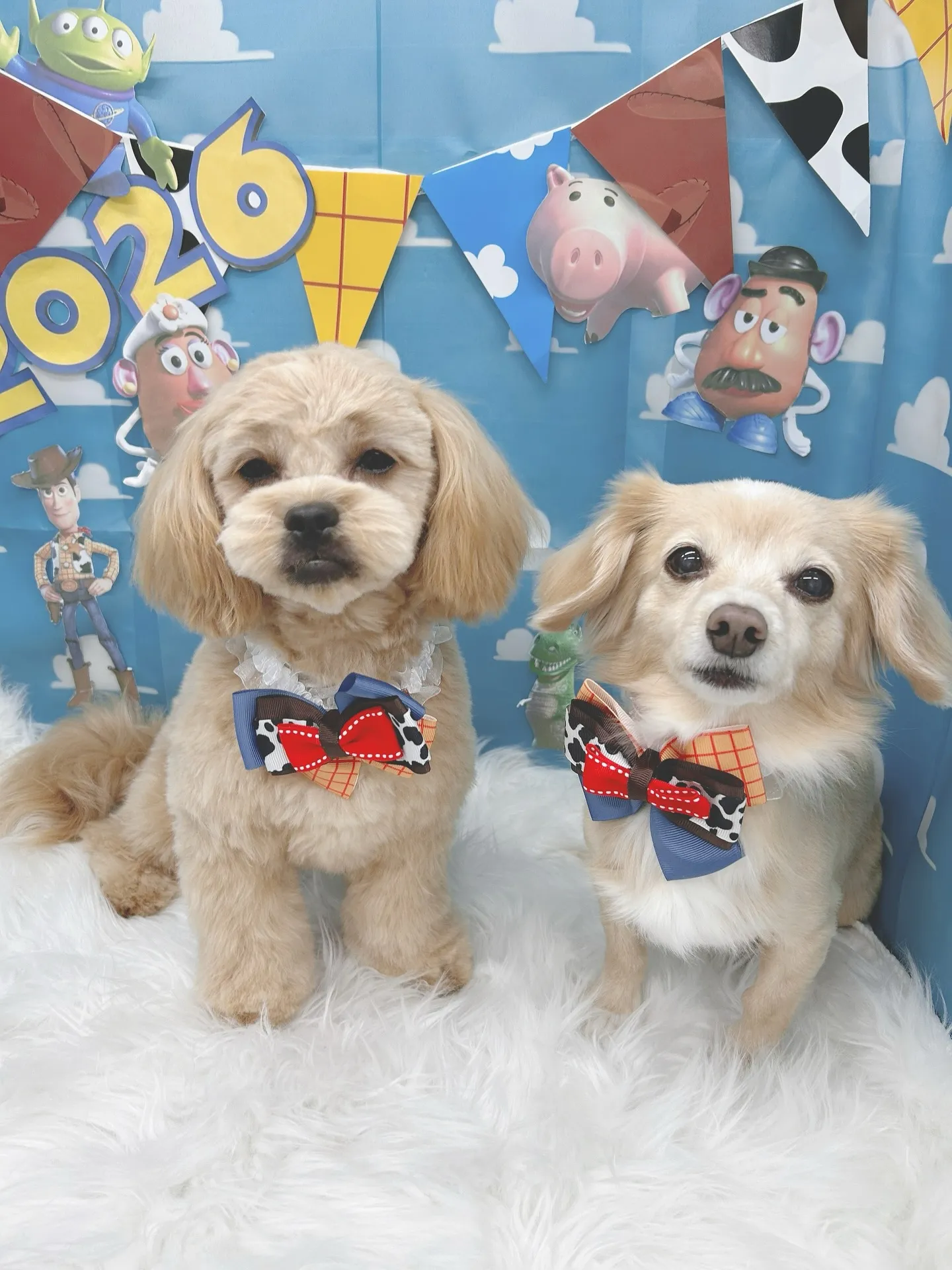 明けましておめでとうございます🎍