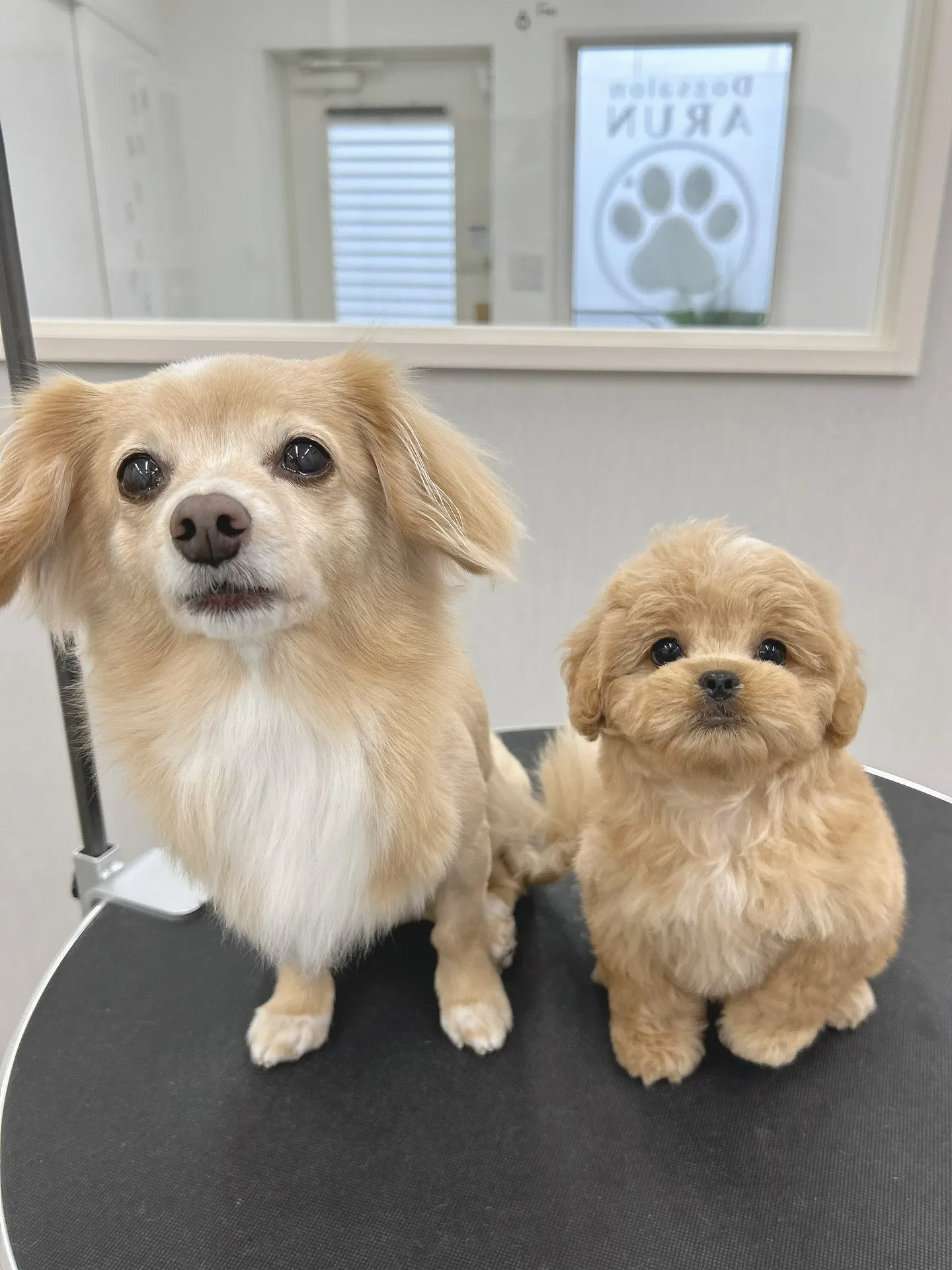 明けましておめでとうございます🎍