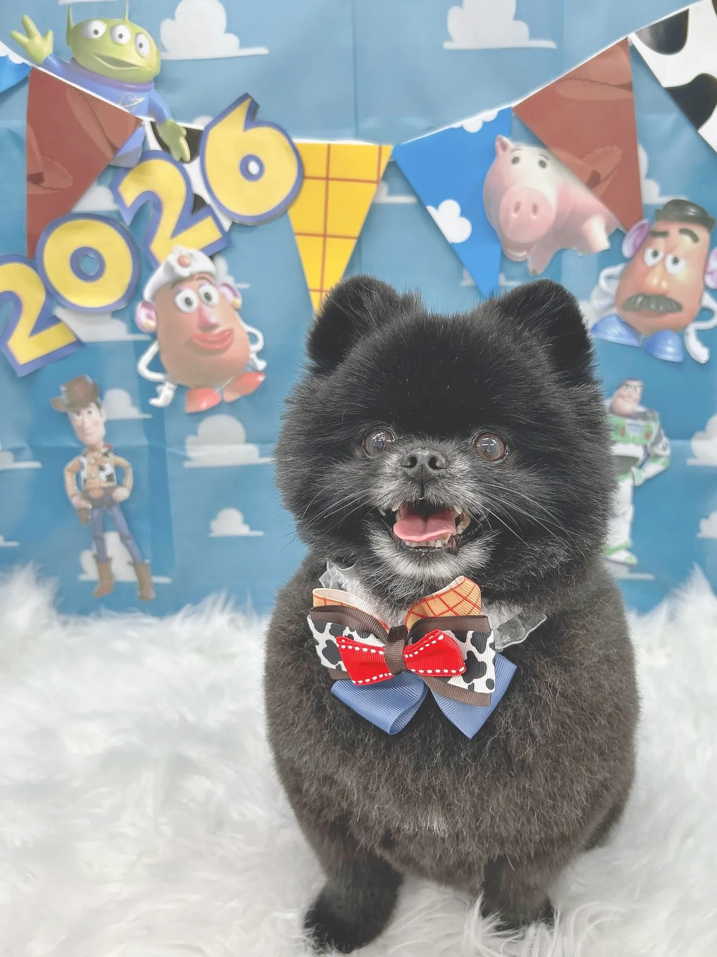 ୨୧ ∴トリミングサロン∴ ୨୧