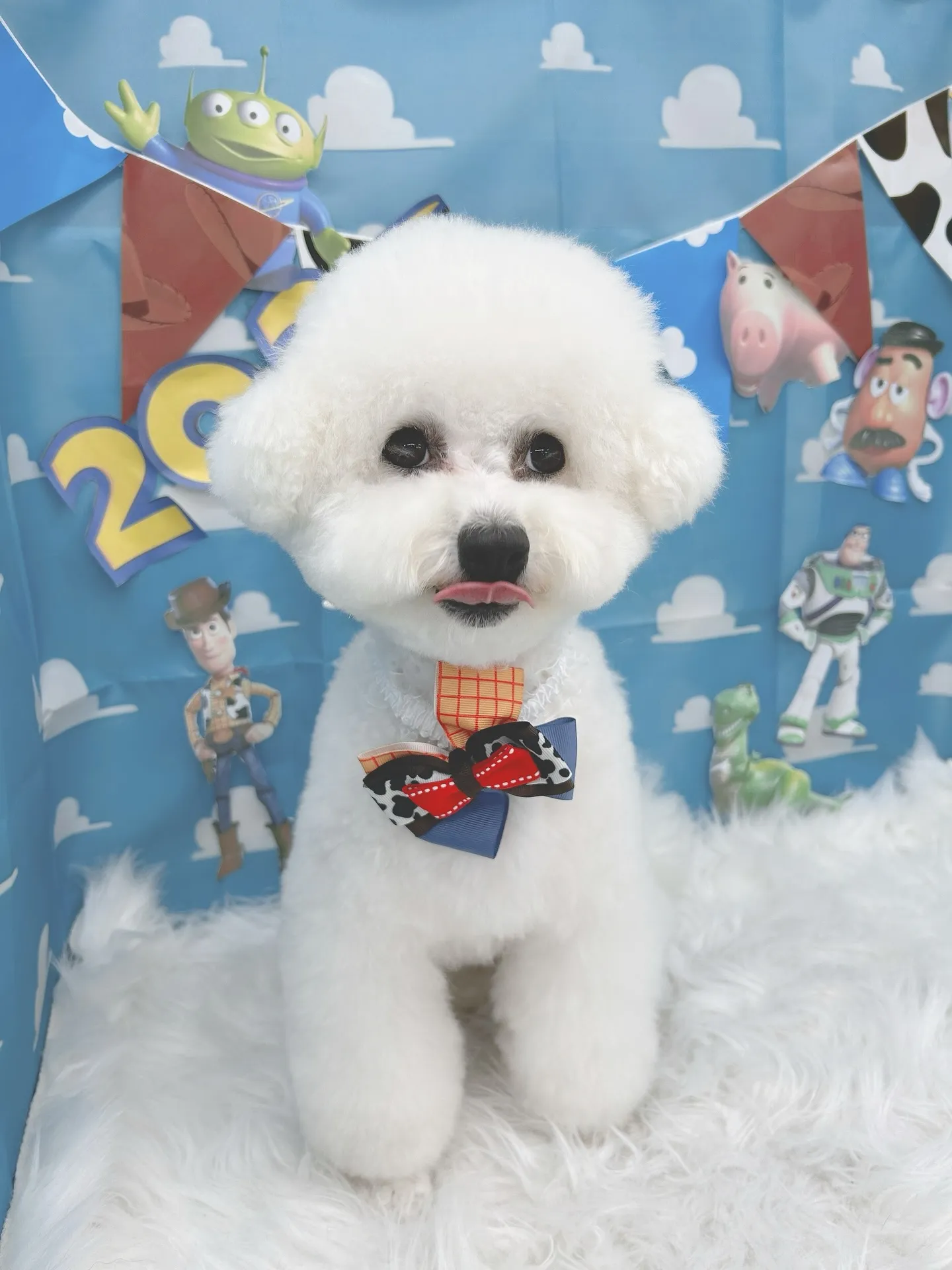 ୨୧ ∴トリミングサロン∴ ୨୧