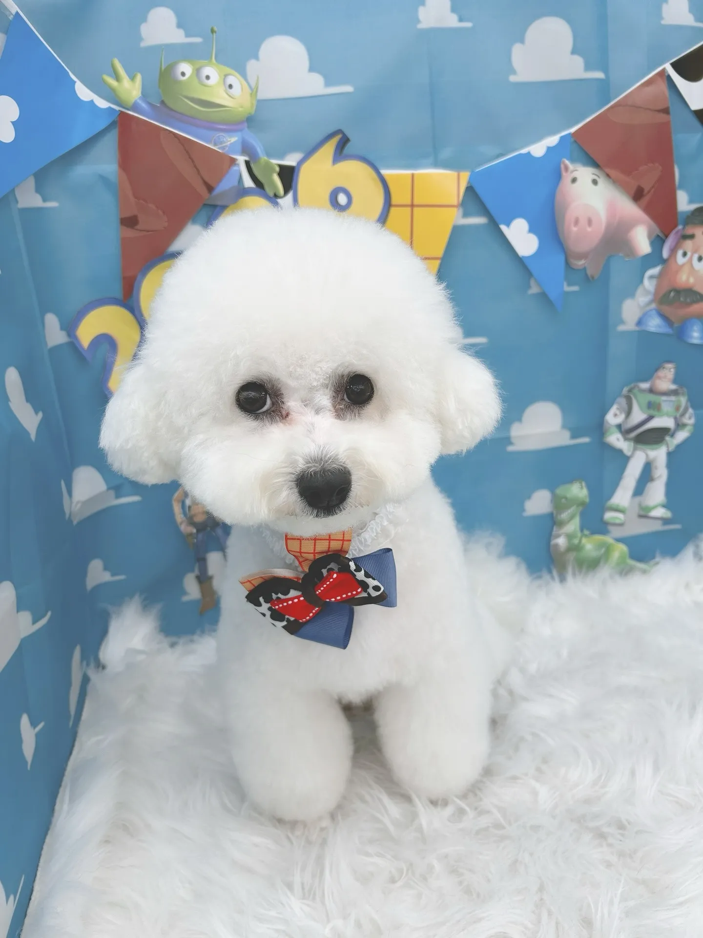 ୨୧ ∴トリミングサロン∴ ୨୧