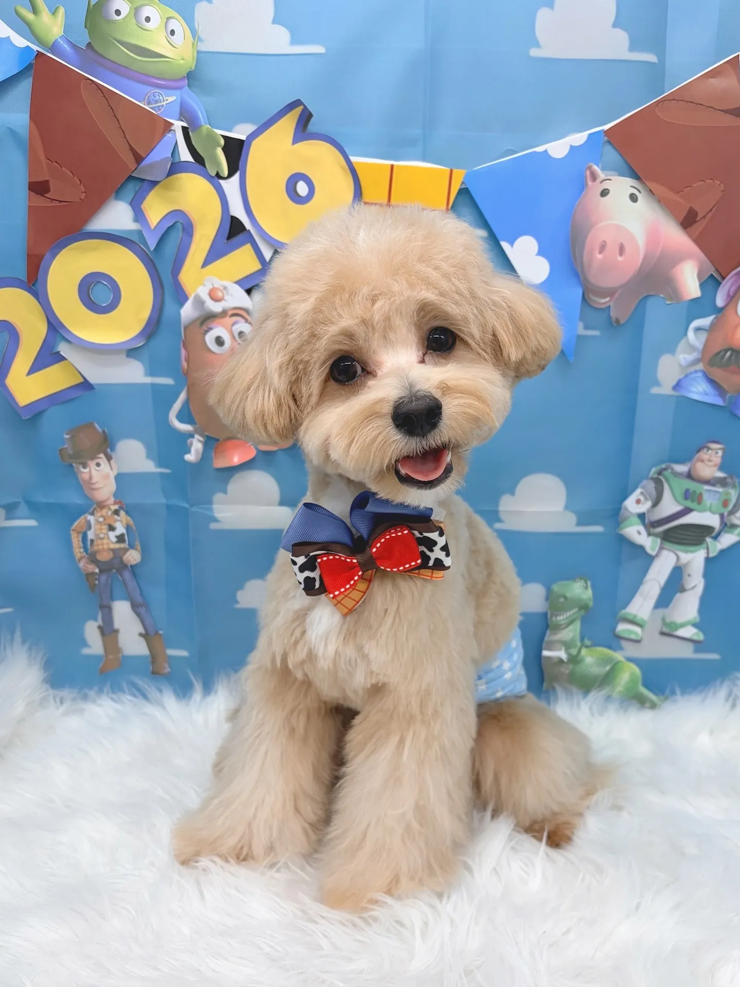 ୨୧ ∴トリミングサロン∴ ୨୧