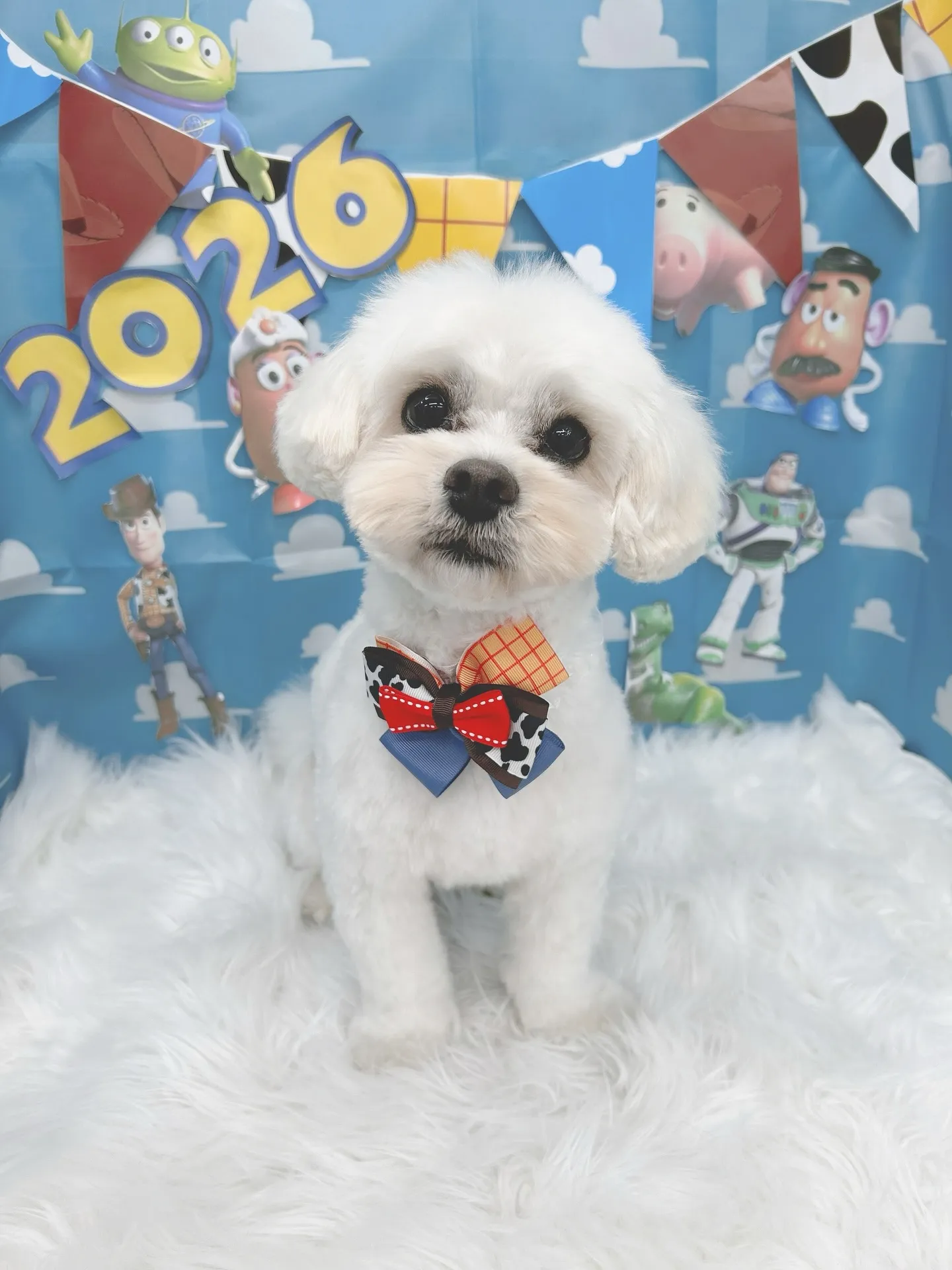 ୨୧ ∴トリミングサロン∴ ୨୧