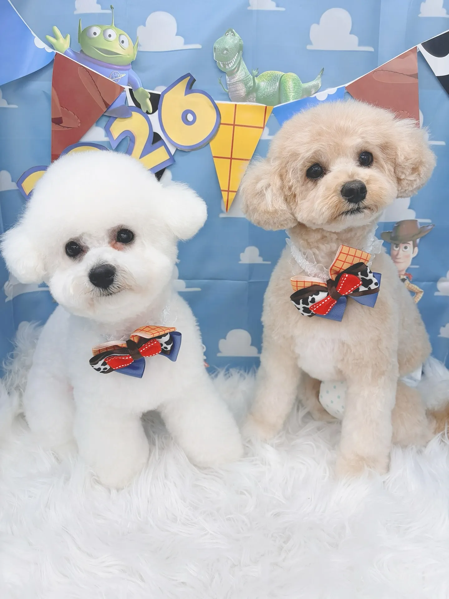 ୨୧ ∴トリミングサロン∴ ୨୧