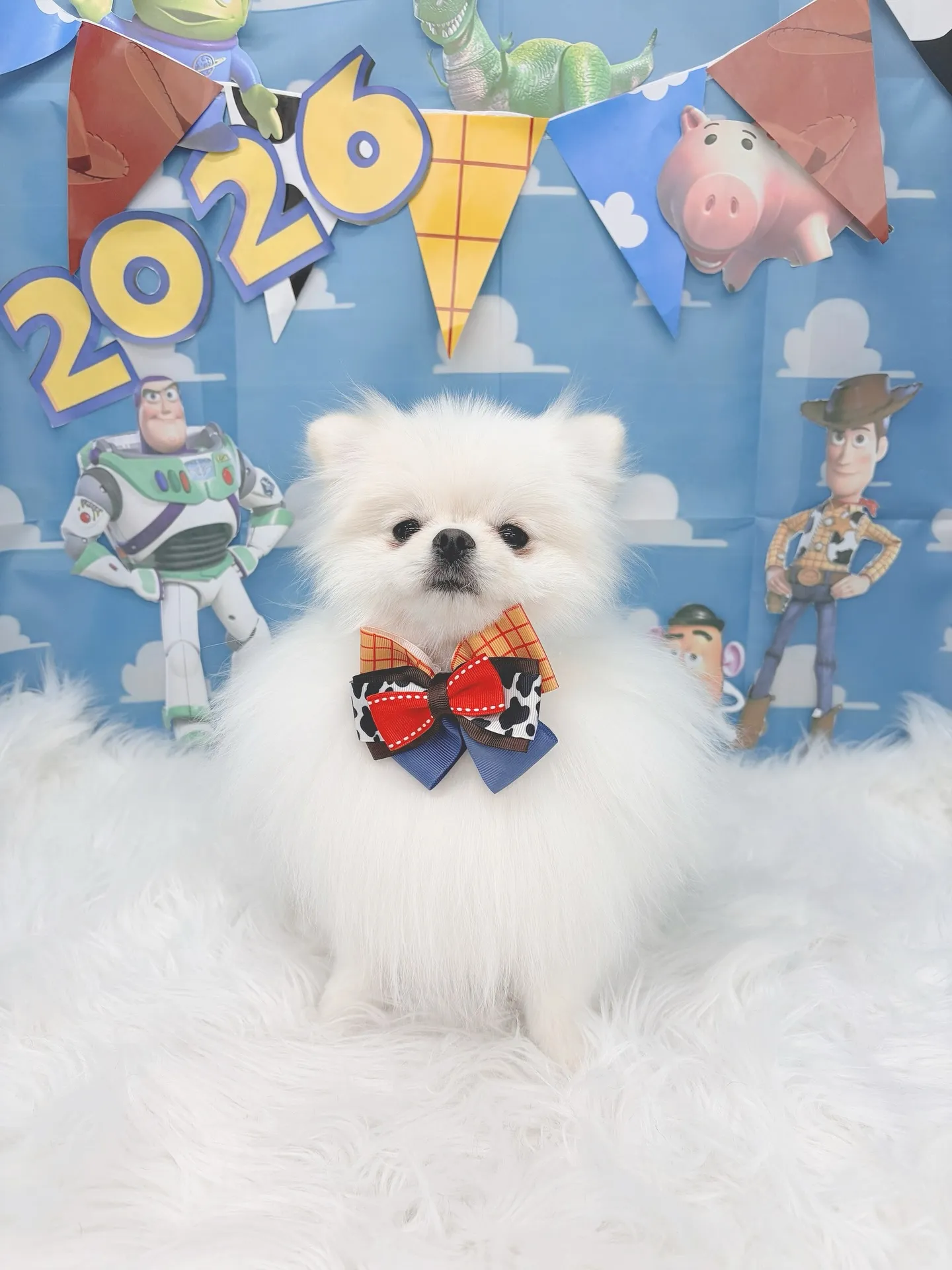 ୨୧ ∴トリミングサロン∴ ୨୧