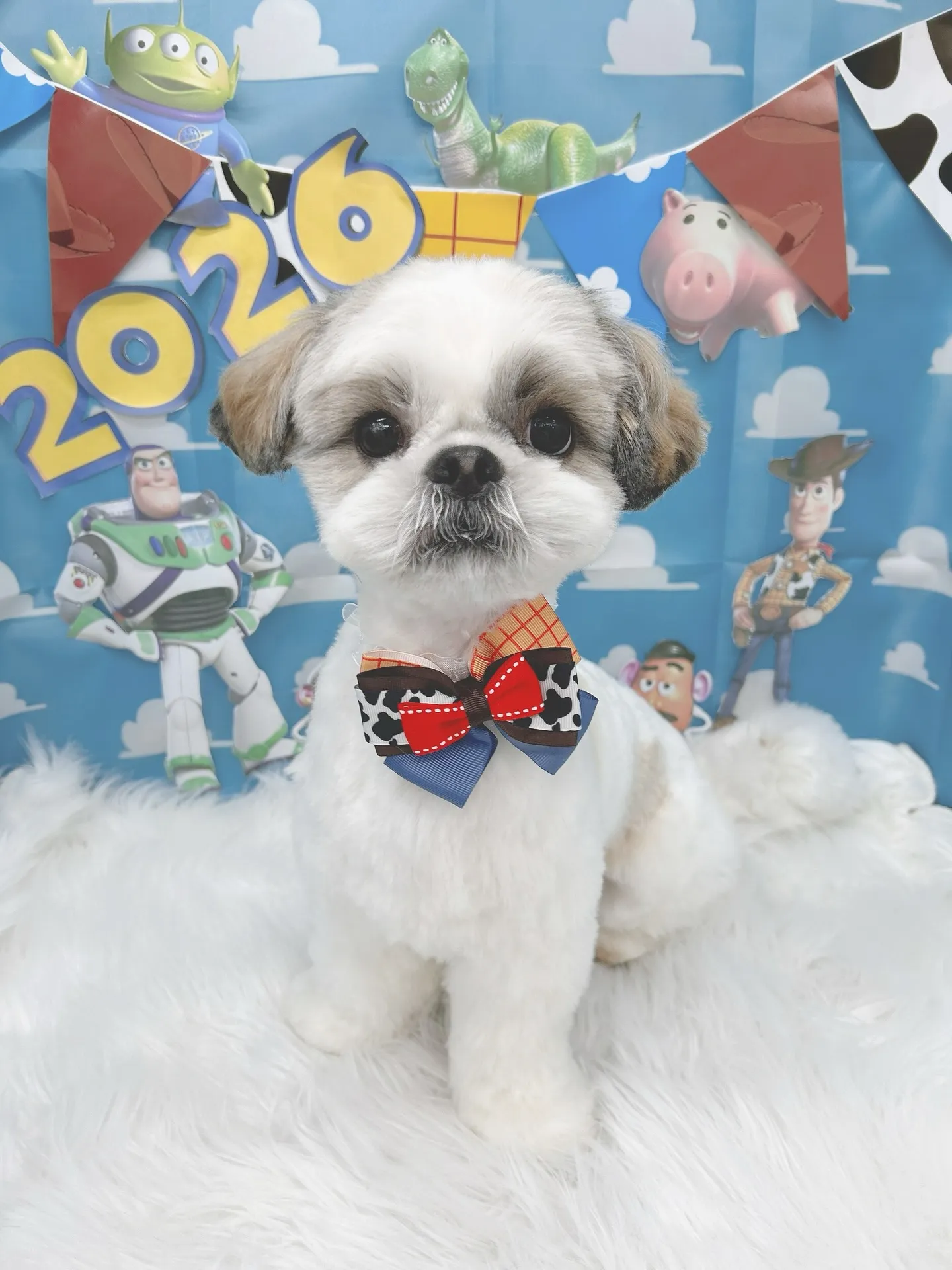 ୨୧ ∴トリミングサロン∴ ୨୧