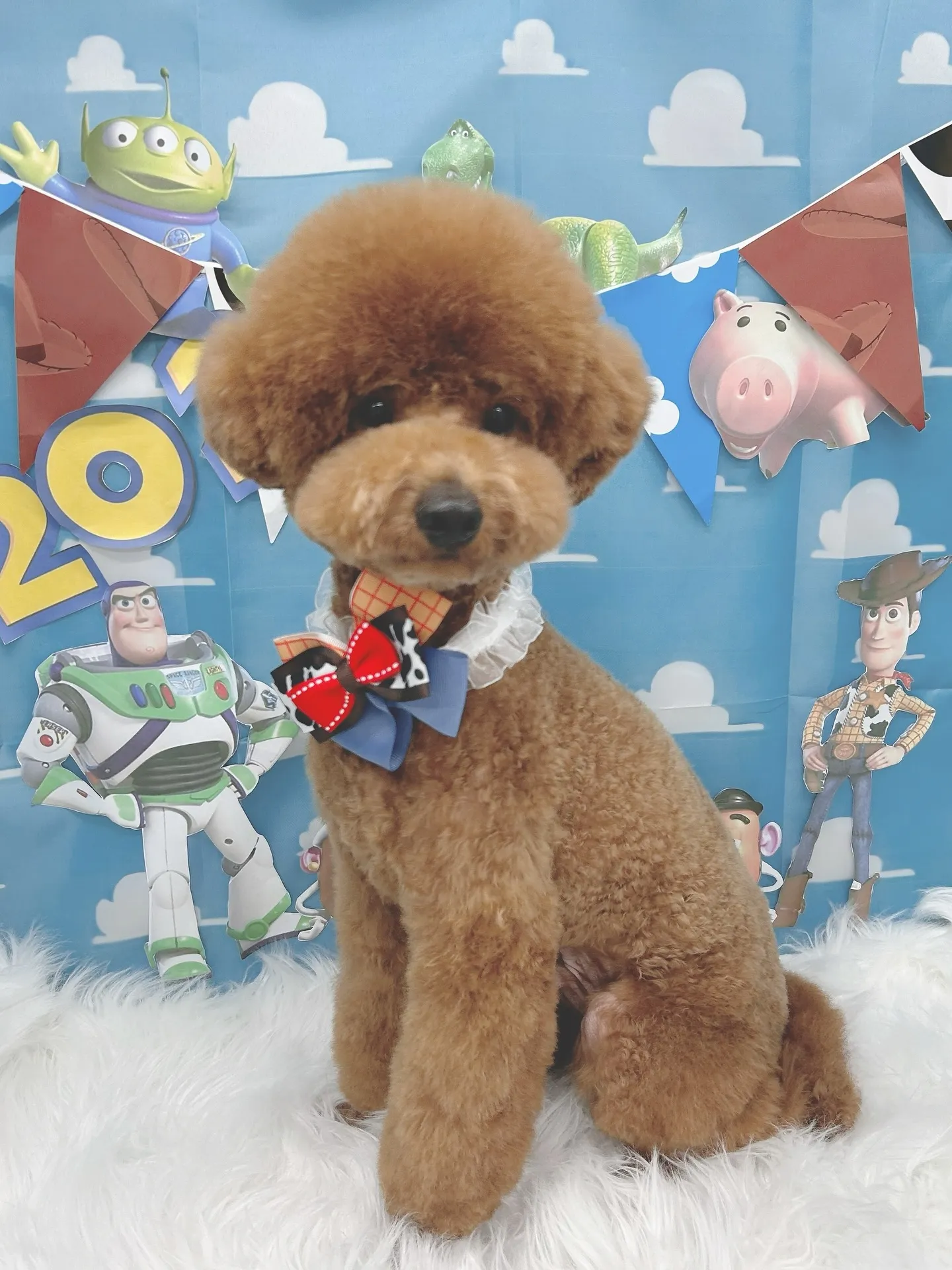 ୨୧ ∴トリミングサロン∴ ୨୧