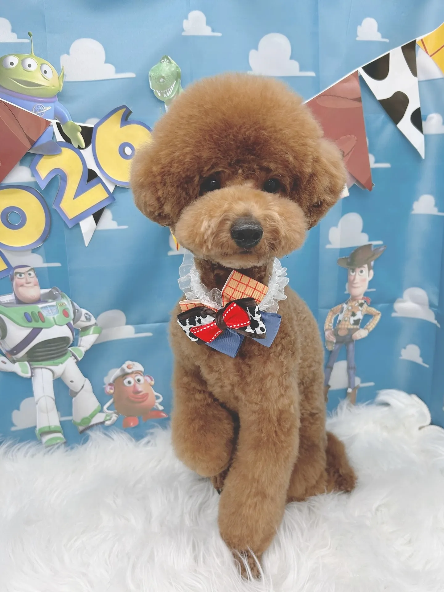 ୨୧ ∴トリミングサロン∴ ୨୧