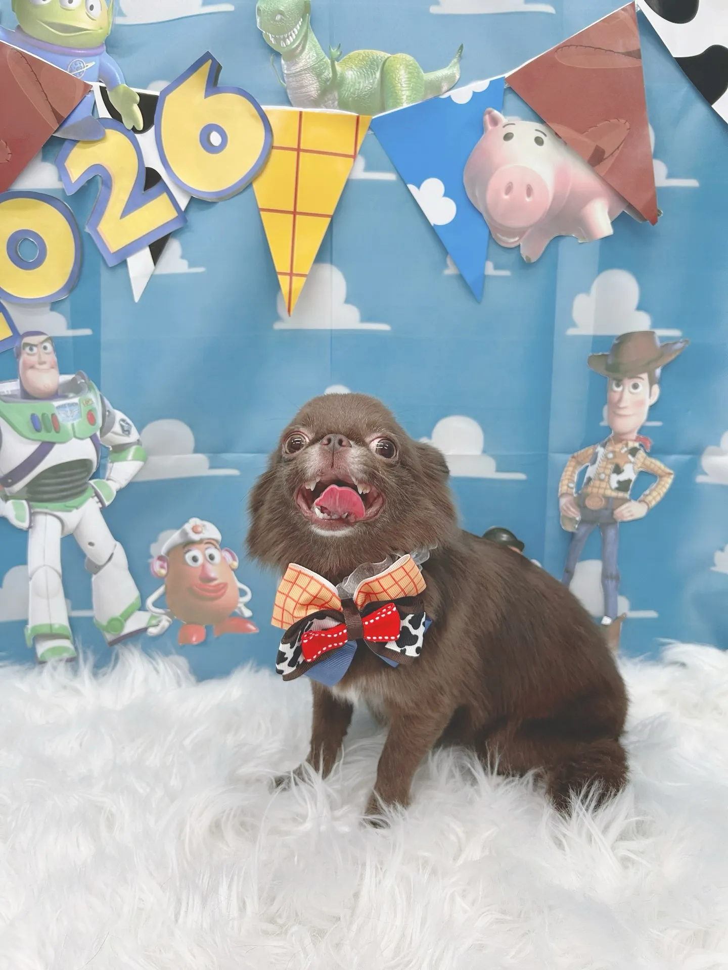 ୨୧ ∴トリミングサロン∴ ୨୧