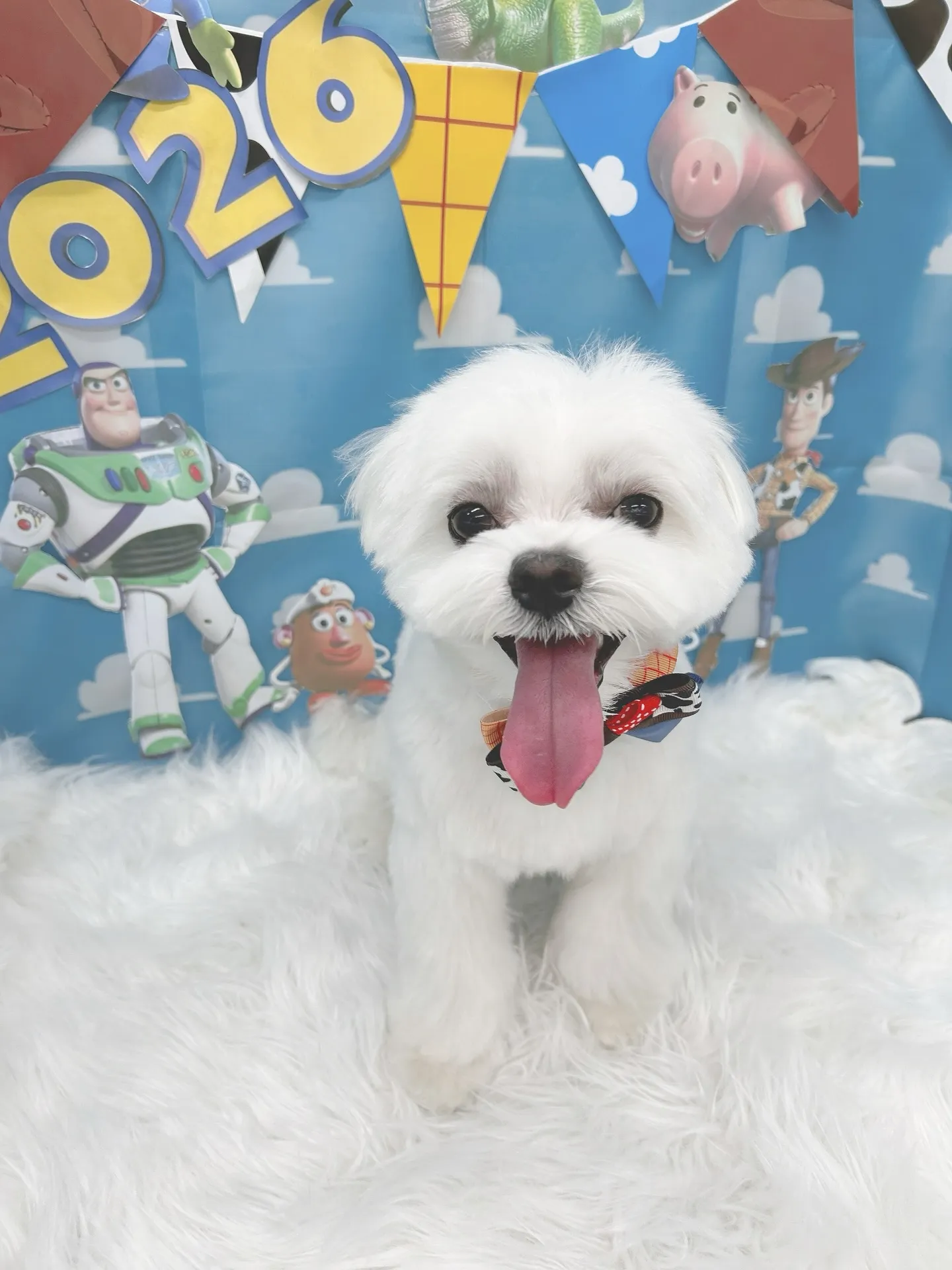 ୨୧ ∴トリミングサロン∴ ୨୧