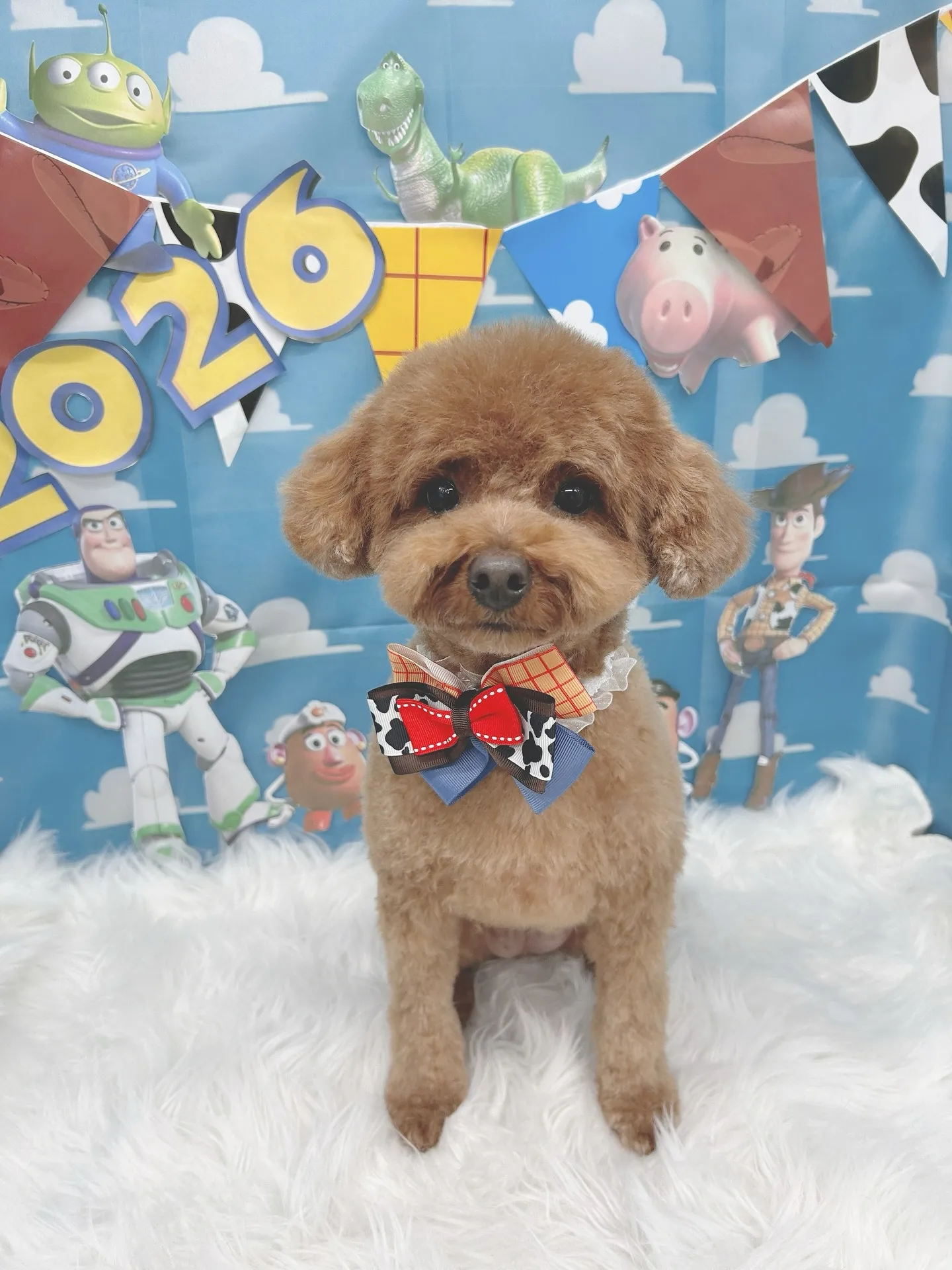 ୨୧ ∴トリミングサロン∴ ୨୧