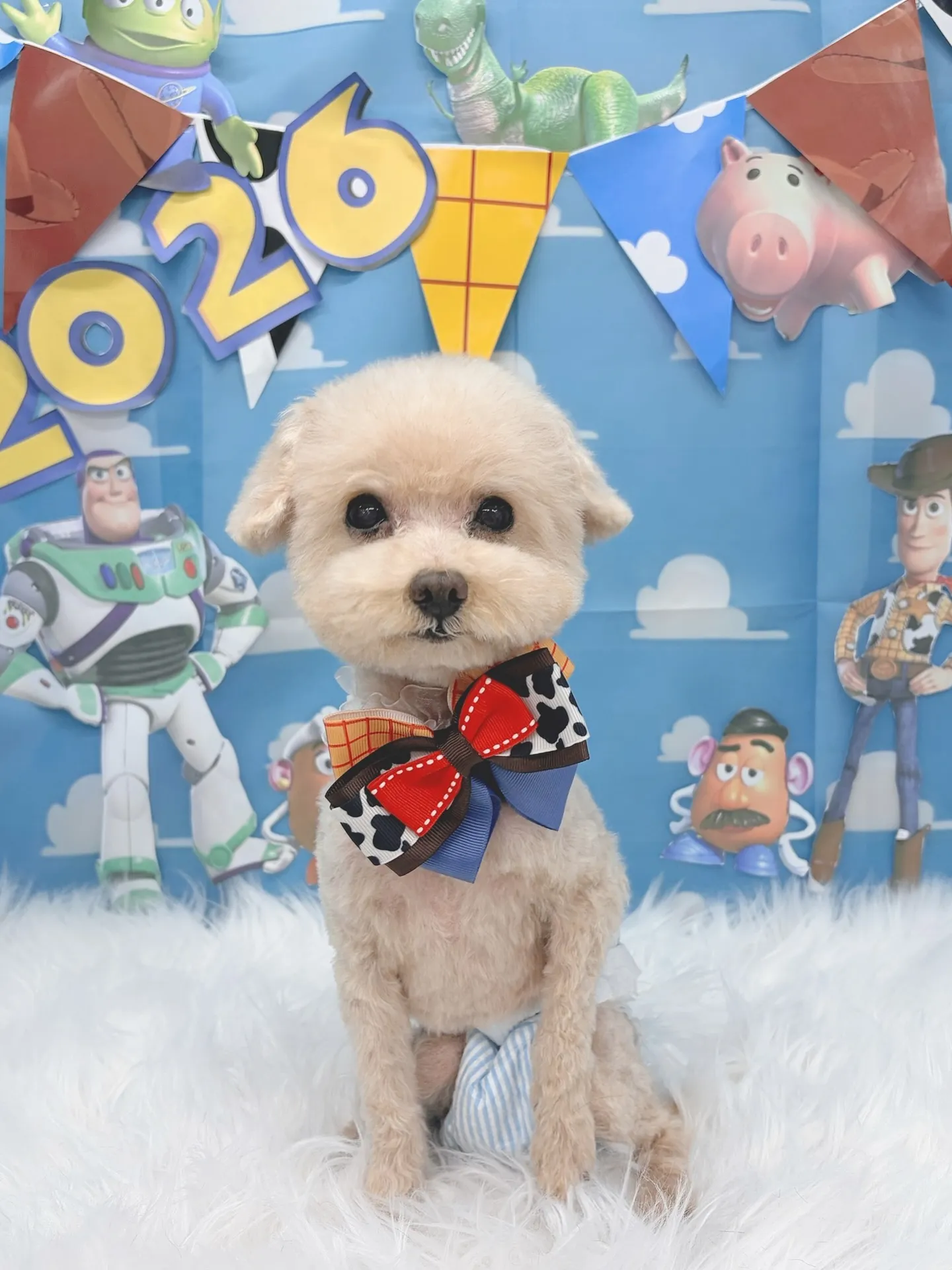 ୨୧ ∴トリミングサロン∴ ୨୧