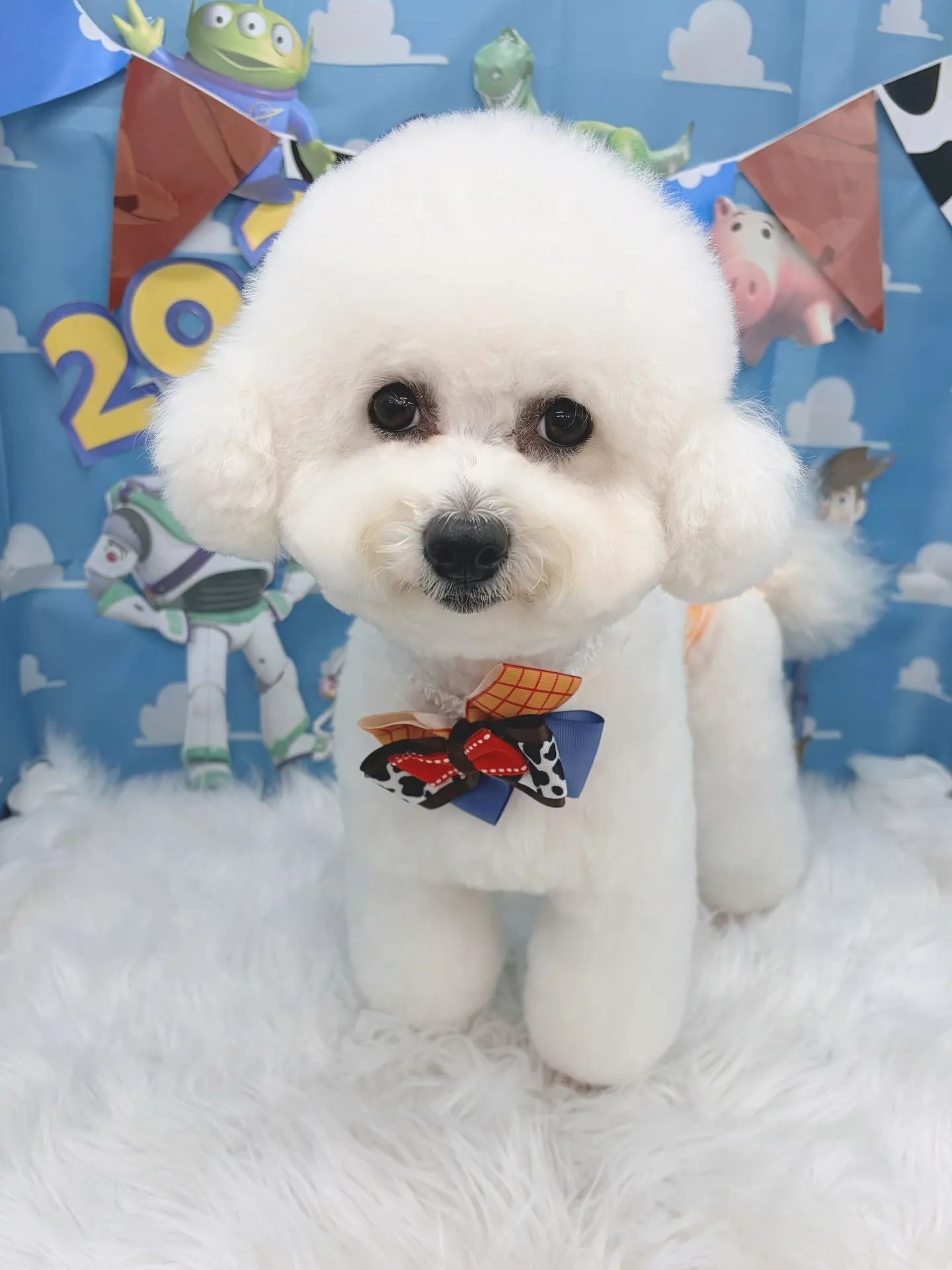 ୨୧ ∴トリミングサロン∴ ୨୧