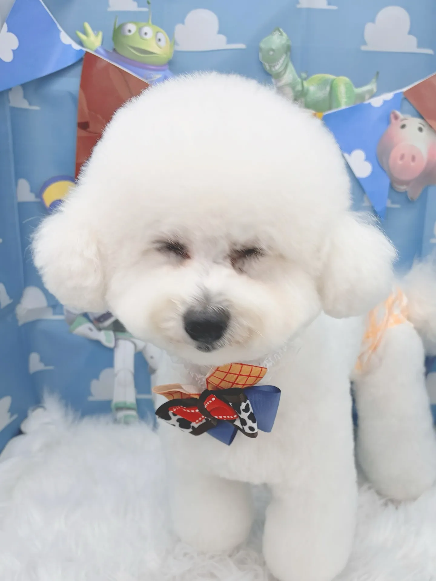 ୨୧ ∴トリミングサロン∴ ୨୧