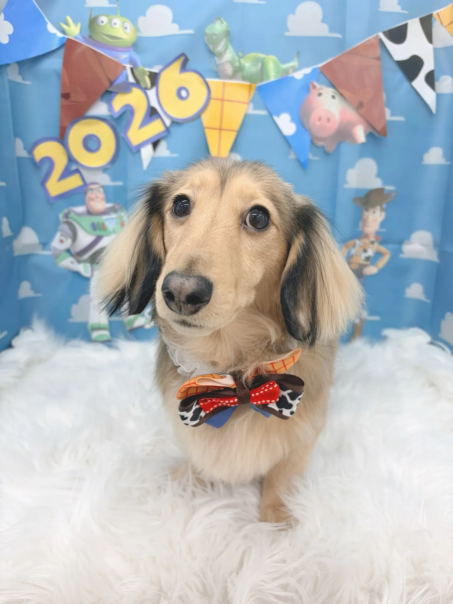 ୨୧ ∴トリミングサロン∴ ୨୧