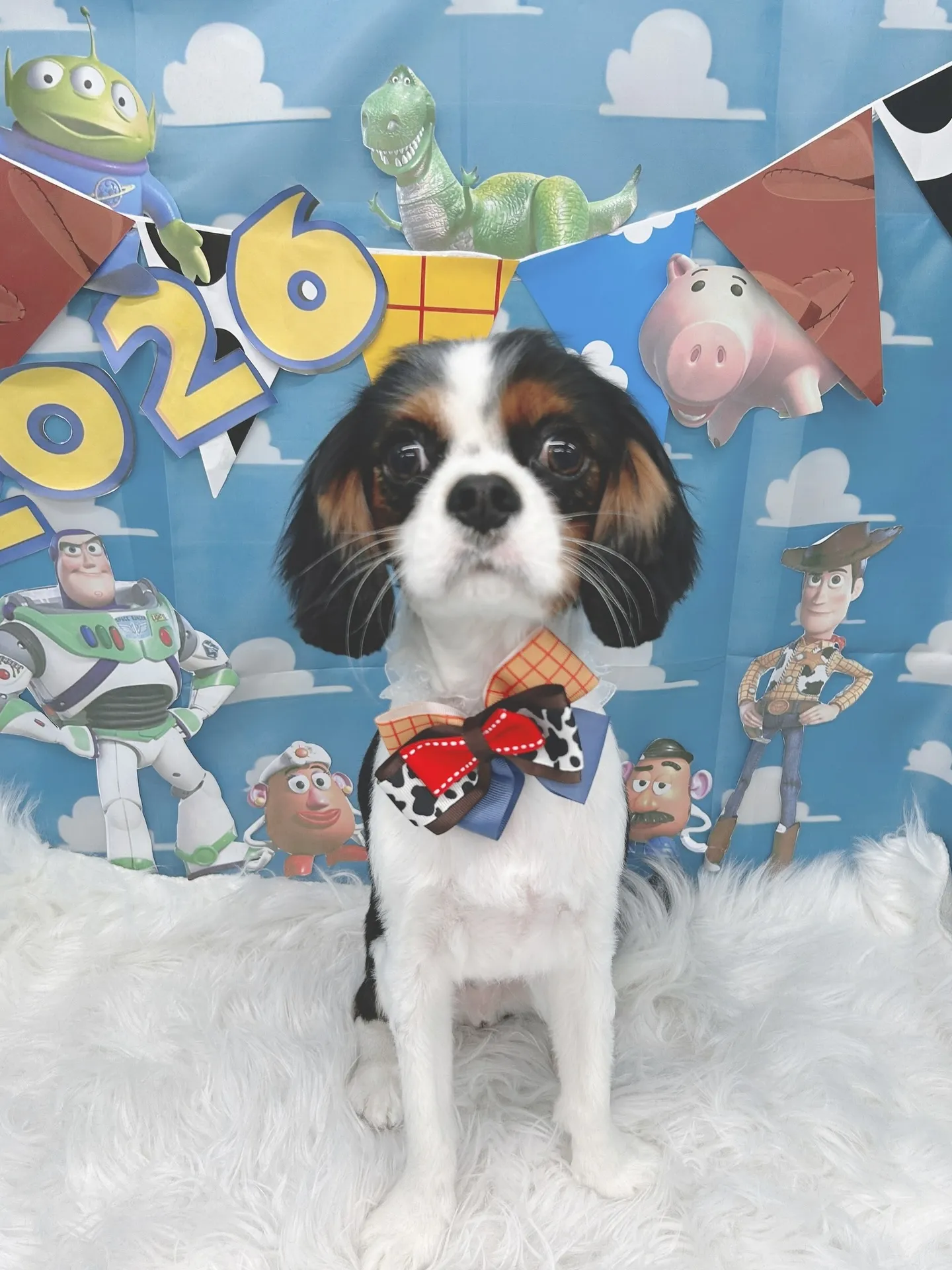 ୨୧ ∴トリミングサロン∴ ୨୧