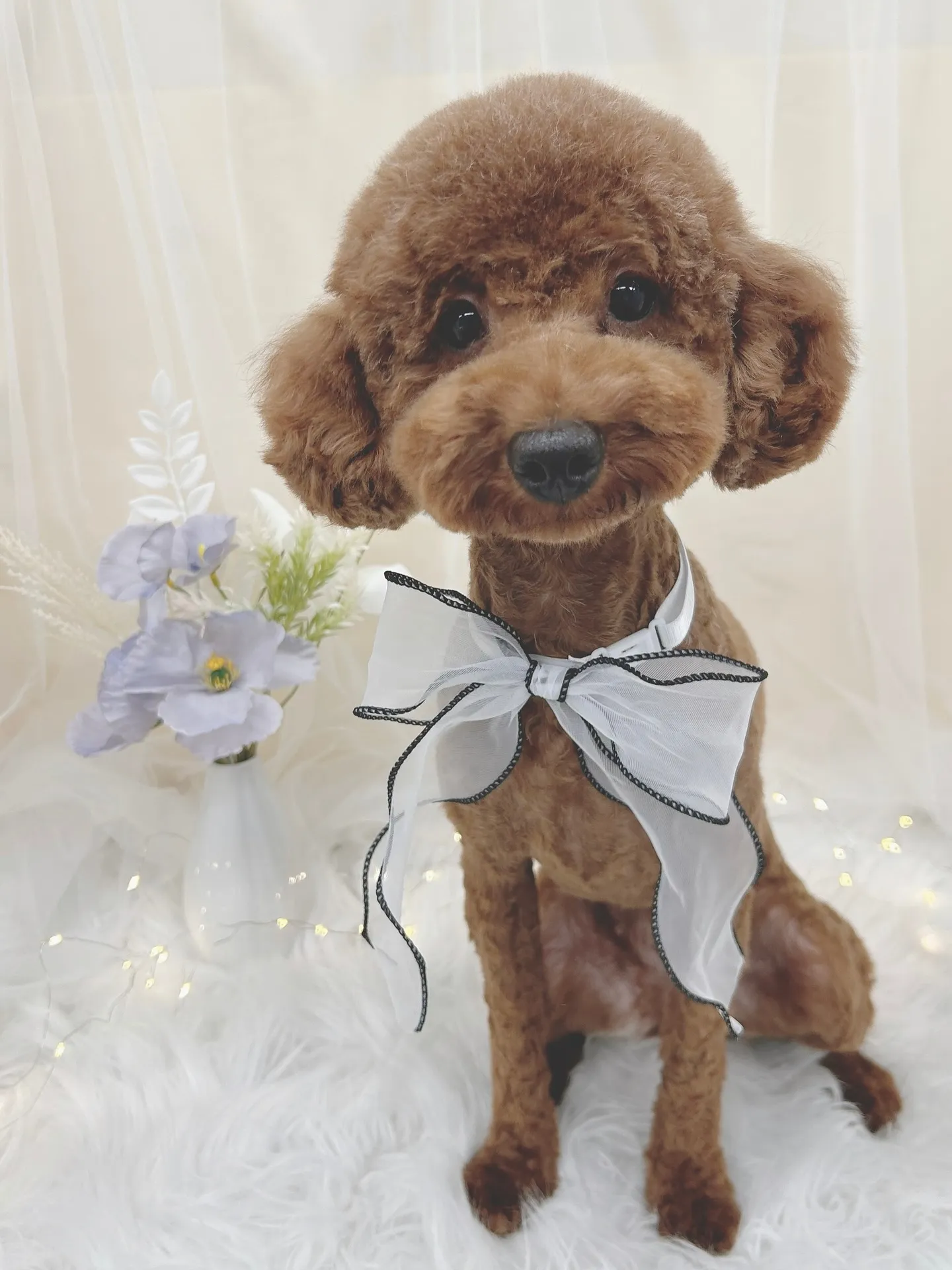 ୨୧ ∴トリミングサロン∴ ୨୧