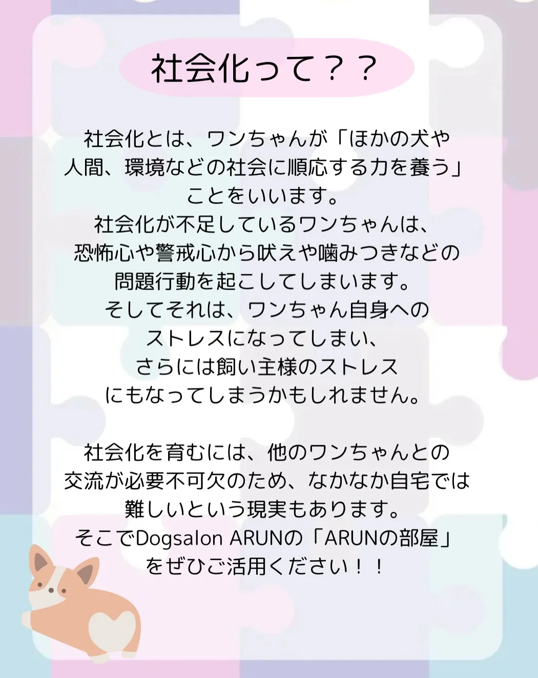 ୨୧ ∴犬の保育園、サービス内容のご案内∴ ୨୧