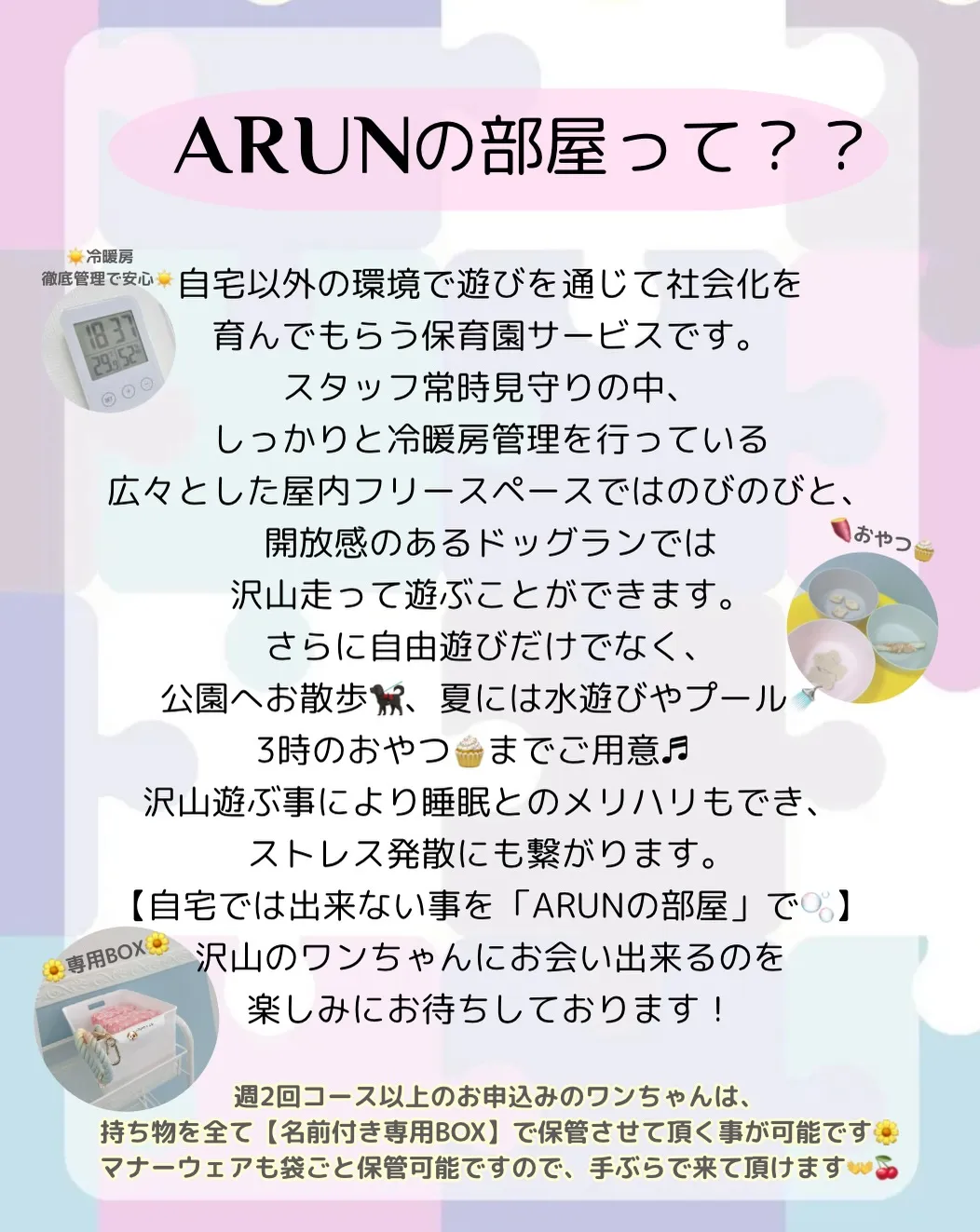 ୨୧ ∴犬の保育園、サービス内容のご案内∴ ୨୧