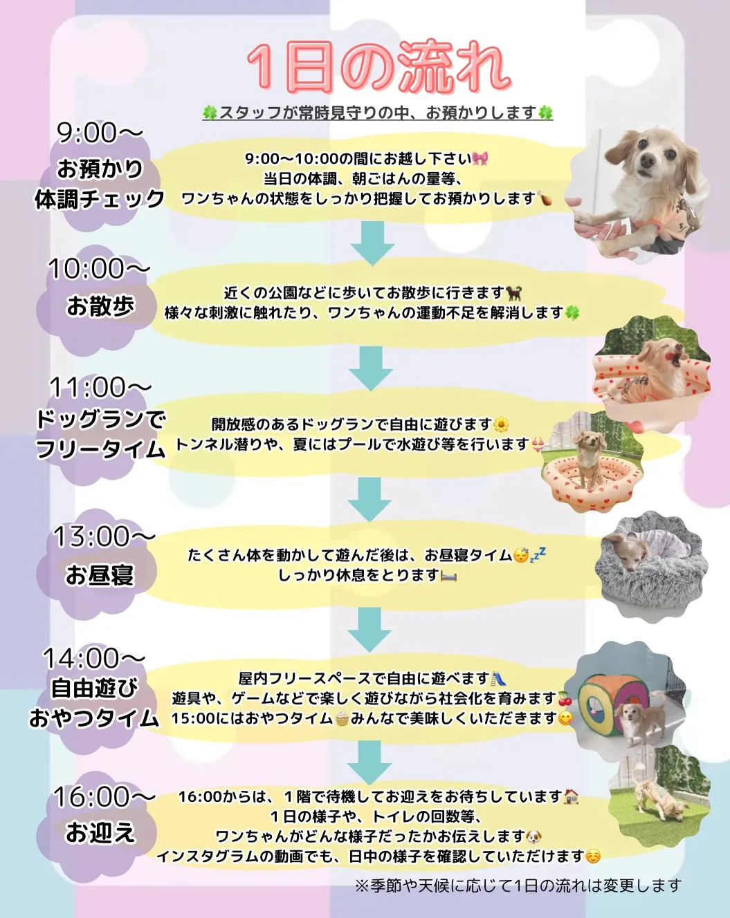 ୨୧ ∴犬の保育園、サービス内容のご案内∴ ୨୧