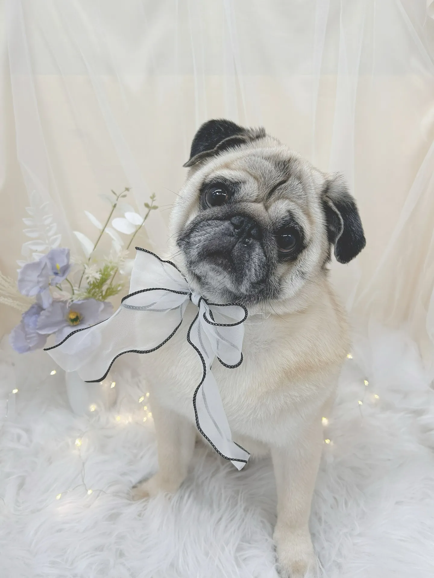 ୨୧ ∴トリミングサロン∴ ୨୧