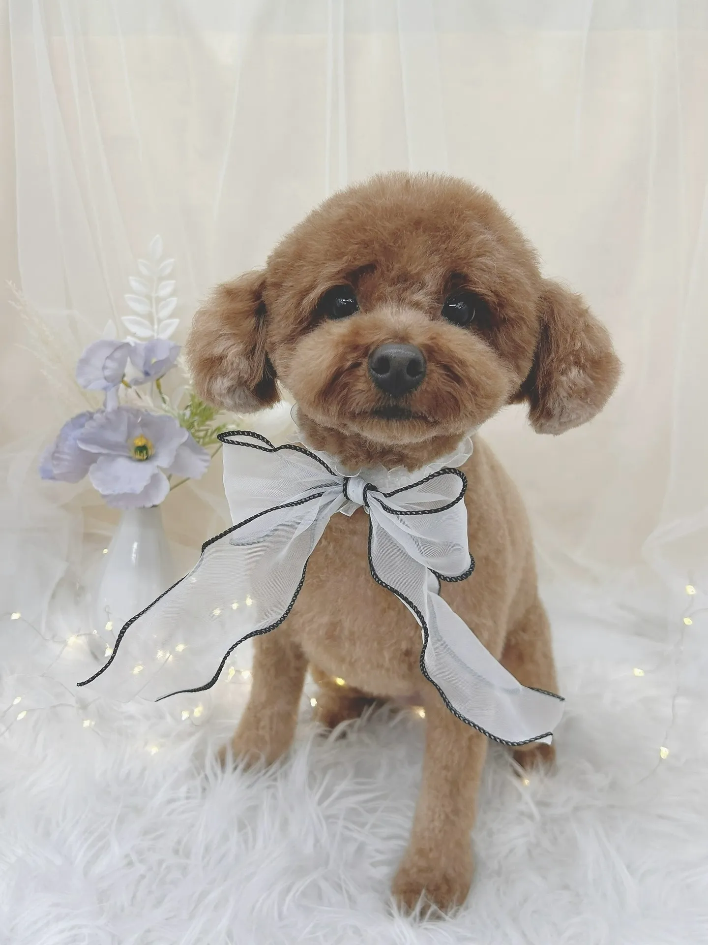 ୨୧ ∴トリミングサロン∴ ୨୧