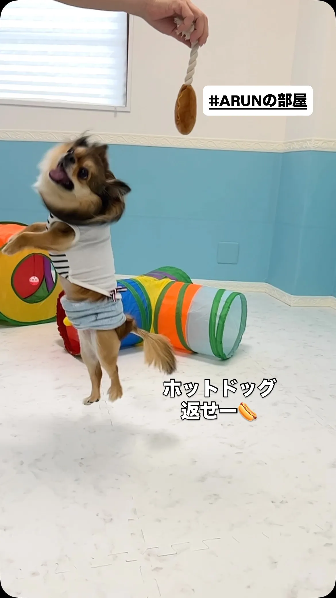 ୨୧ ∴ARUNの部屋∴ ୨୧