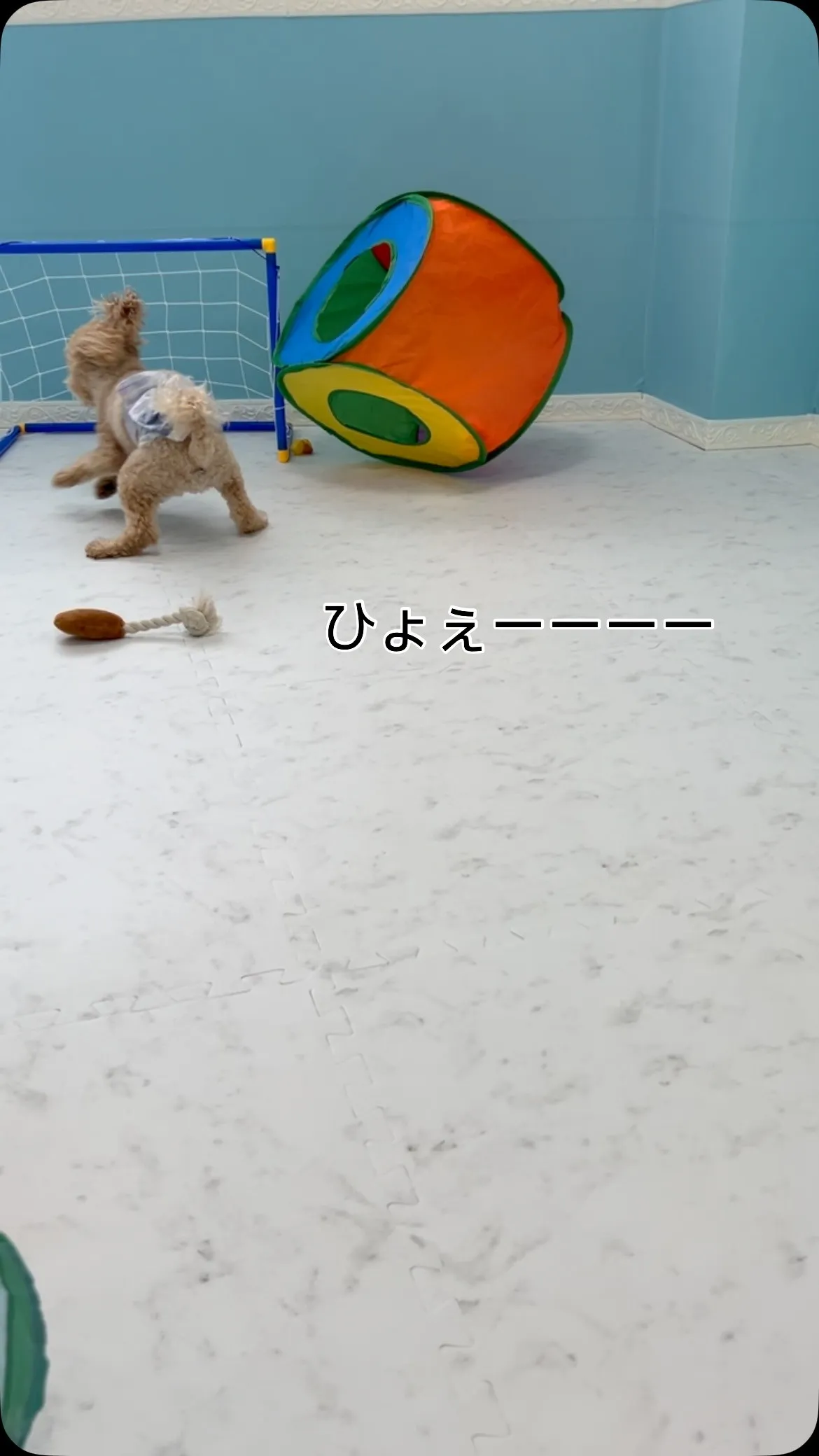 ୨୧ ∴ARUNの部屋∴ ୨୧