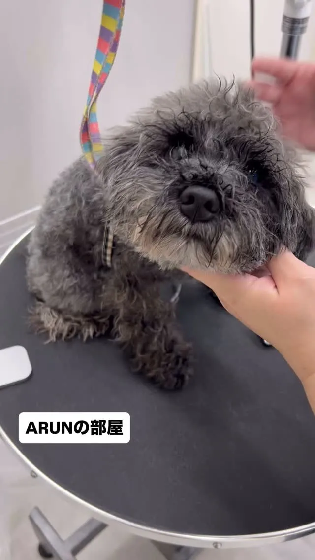 ୨୧ ∴ARUNの部屋∴ ୨୧