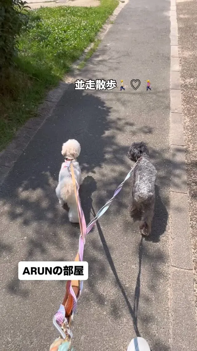 ୨୧ ∴ARUNの部屋∴ ୨୧