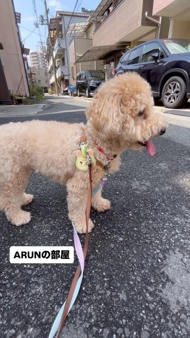 ୨୧ ∴ARUNの部屋∴ ୨୧