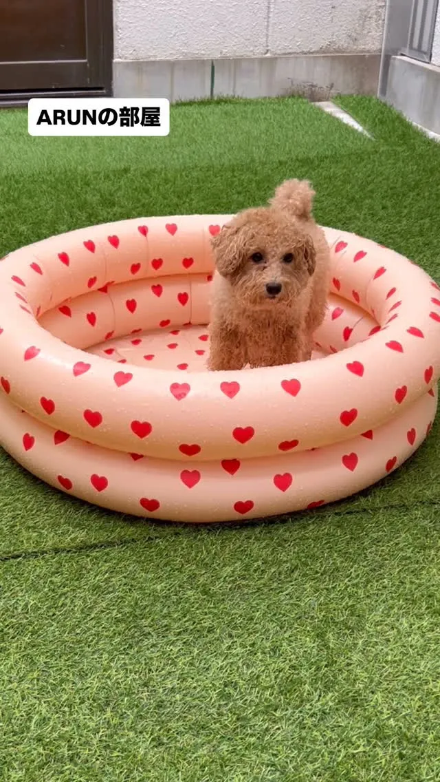 ୨୧ ∴ARUNの部屋∴ ୨୧