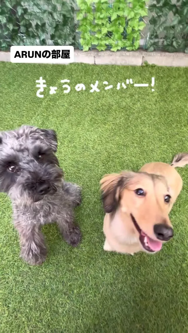 ୨୧ ∴ARUNの部屋∴ ୨୧