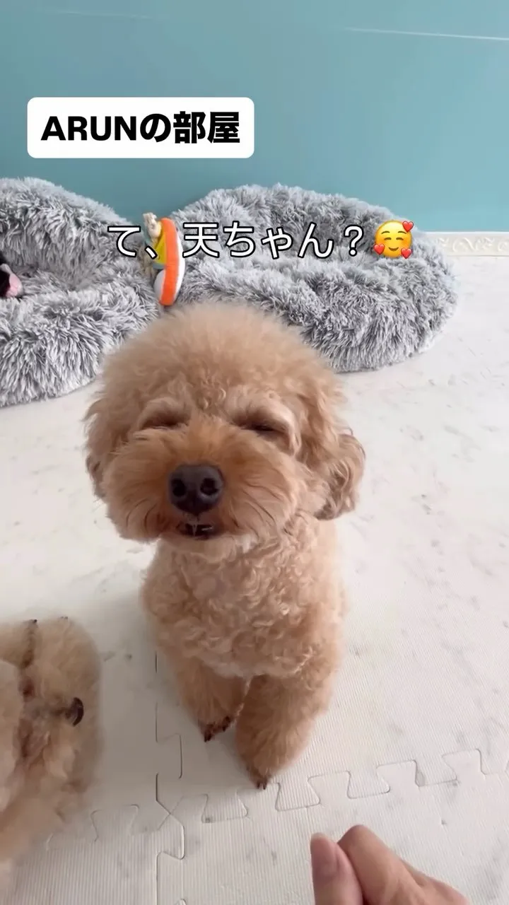 ୨୧ ∴ARUNの部屋∴ ୨୧